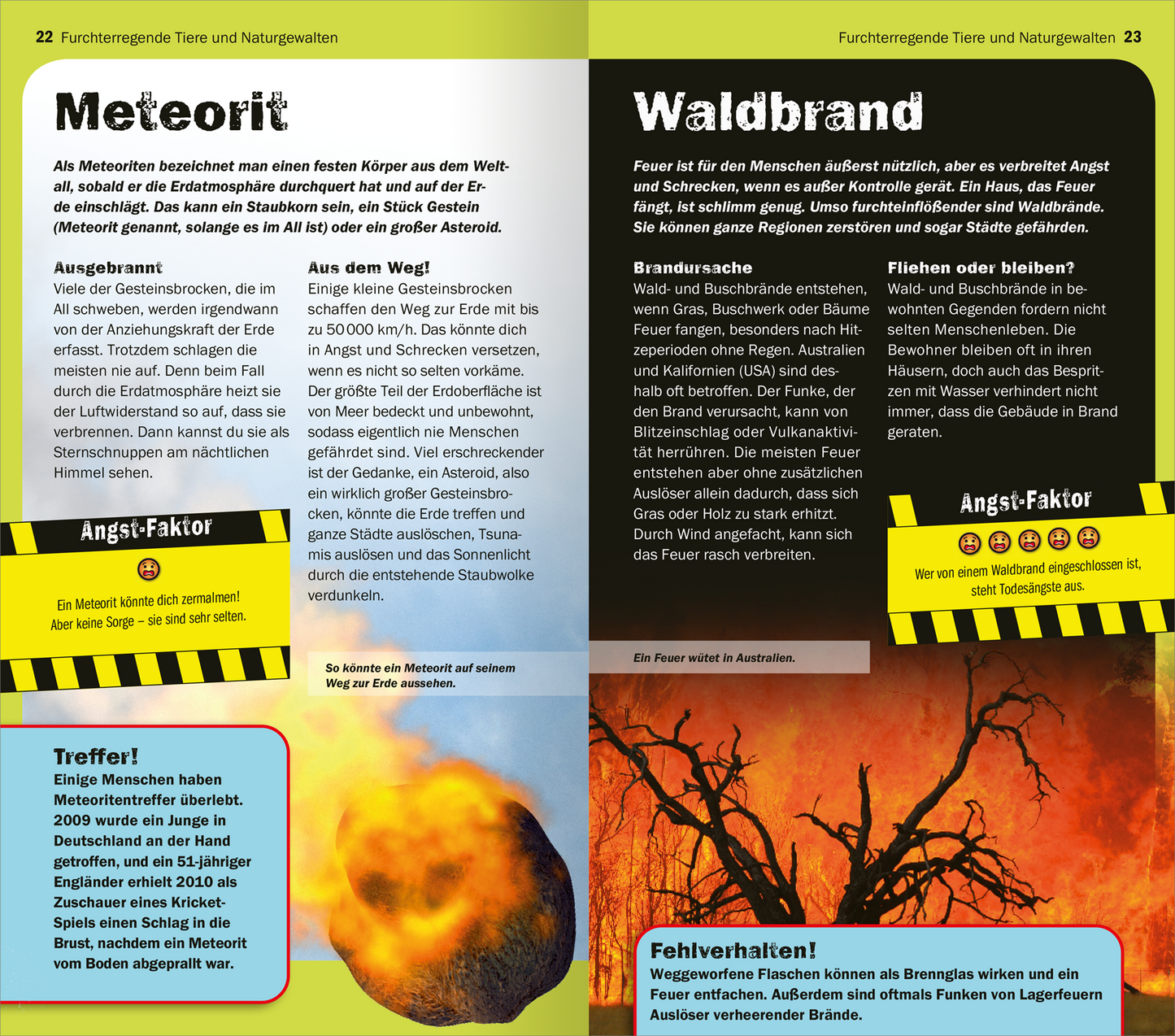 Gezeigt wird eine Innen- oder Zusatzansicht von „Die 100 furchterregendsten Dinge der Welt“. Die Seiten zeigen die Themen „Meteoriten“ und „Waldbrand“. Die linke Seite präsentiert einen Meteoriten mit auffälligem Text in großen, fettgedruckten Buchstaben in Gelb auf Schwarz. Die rechte Seite beschreibt einen Waldbrand, illustriert mit einer feurigen Grafik. Der Hintergrund ist hell, während die Textgestaltung lebendig und kontrastreich ist, um die Aufmerksamkeit auf die...