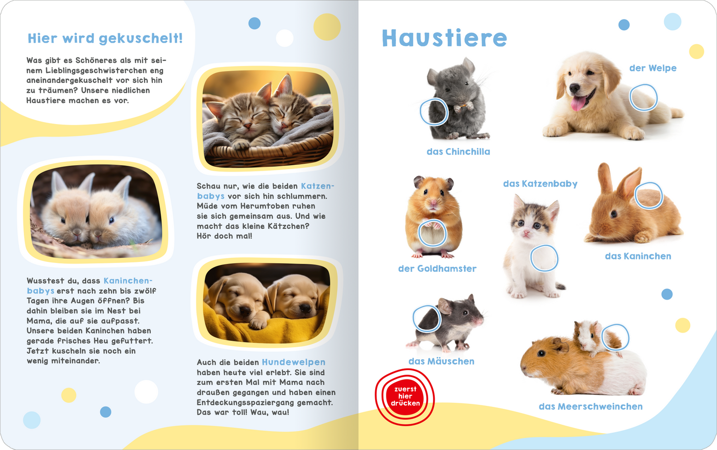 Gezeigt wird eine Innen- oder Zusatzansicht von „Mein großes Geräuschebuch – Tierbabys“. Die Seite zeigt eine sanfte, helle Farbpalette mit dominierenden Gelb- und Blautönen. Auf der linken Seite sind niedliche Bilder von schlafenden Kätzchen, Kaninchen und Hundewelpen in runden Rahmen platziert. Rechts sind diverse Haustiere abgebildet, darunter ein Chinchilla und ein Goldhamster, jeweils mit beschreibenden Texten in klarer, verspielter Typografie. Die Anordnung ist übersichtlich...