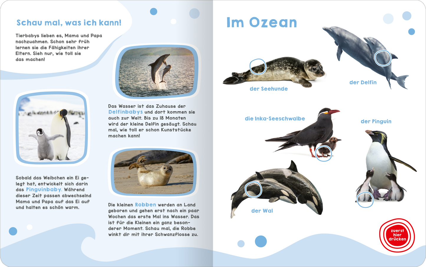 Gezeigt wird eine Innen- oder Zusatzansicht von „Mein großes Geräuschebuch – Tierbabys“. Die Doppelseite zeigt eine bunte und ansprechende Illustration von Tierbaby-Aktivitäten im Ozean. Auf der linken Seite sind Bildausschnitte von einem Delphin und Pinguinen zu sehen, umgeben von blauen Wassertönen und hellen Wolken. Die rechte Seite zeigt verschiedene Tierarten mit ihren Namen in klarer, kindgerechter Schrift. Die Farben sind lebhaft und die Gestaltung einladend für junge Leser.