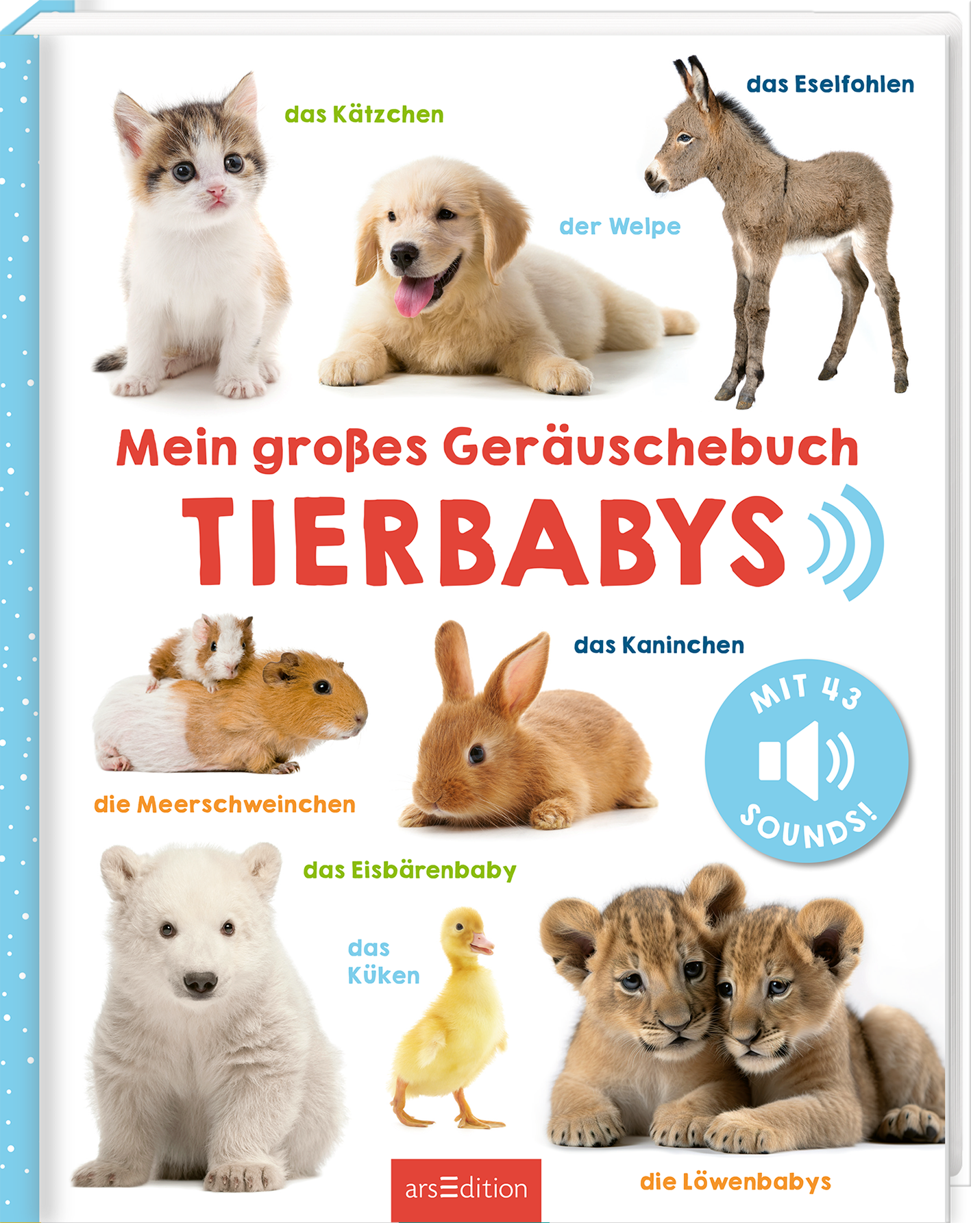 Das Buchcover zeigt eine verspielte Anordnung süßer Tierbabys, darunter ein Kätzchen, ein Welpe, ein Eselfohlen und ein Eisbärenbaby. Die Schriftfarbe ist ein leuchtendes Rot, in der Mitte steht „Mein großes Geräuschbuch TIERBABYS“. Ein Hinweis in blauer Schrift informiert über „MIT 43 SOUNDS!“. Die sanften Farben und die fröhlichen Tiergesichter schaffen eine einladende Atmosphäre. Ganz unten mittig steht der Logoschriftzug von arsEdition.