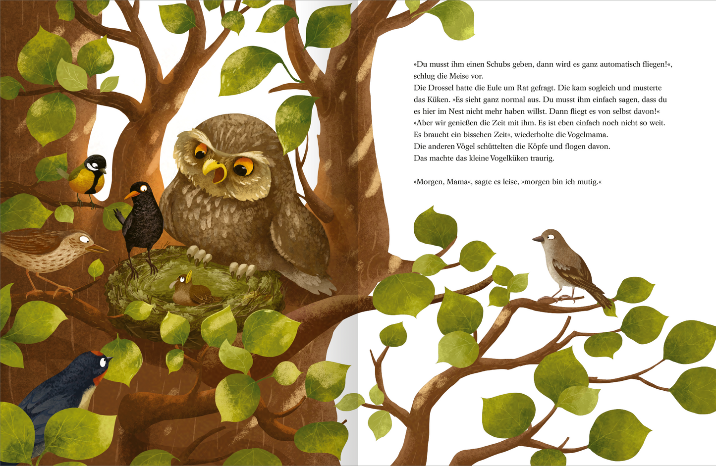 Gezeigt wird eine Innen- oder Zusatzansicht von „Morgen bin ich mutig“. Die Illustration zeigt eine Baumlandschaft mit einem großen, weitsichtigen Uhu, der neben einem Nest sitzt und auf ein Vogeljunges darin schaut. Umgeben von grünen Blättern und verschiedenen kleinen Vögeln, die auf Ästen sitzen, vermittelt die Szene ein Gefühl von Lebhaftigkeit und Naturverbundenheit. Die Farbpalette ist warm und einladend, mit überwiegenden Erdtönen und sanften Grüntönen. Der Text ist in...