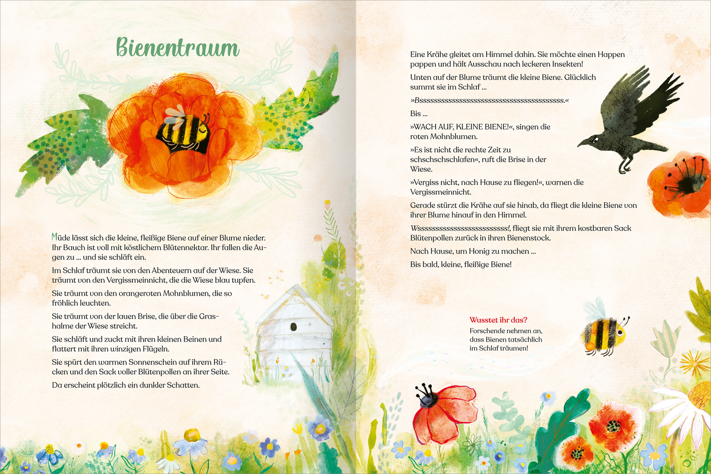 Gezeigt wird eine Innenansicht von „Geschichtenschatz für 4-Jährige“. Die Seite präsentiert eine sanfte, blassorange Hintergrundfarbe, verziert mit bunten Aquarellillustrationen von Blumen, insbesondere einer großen roten Mohnblume und einer summenden Biene. Die Typografie ist groß und verschnörkelt, das Wort „Bienentraum“ hebt sich durch eine grüne Schriftfarbe hervor. Der Text ist in einem klaren, gut lesbaren Stil gesetzt, um die kleine Geschichte ansprechend und einladend...