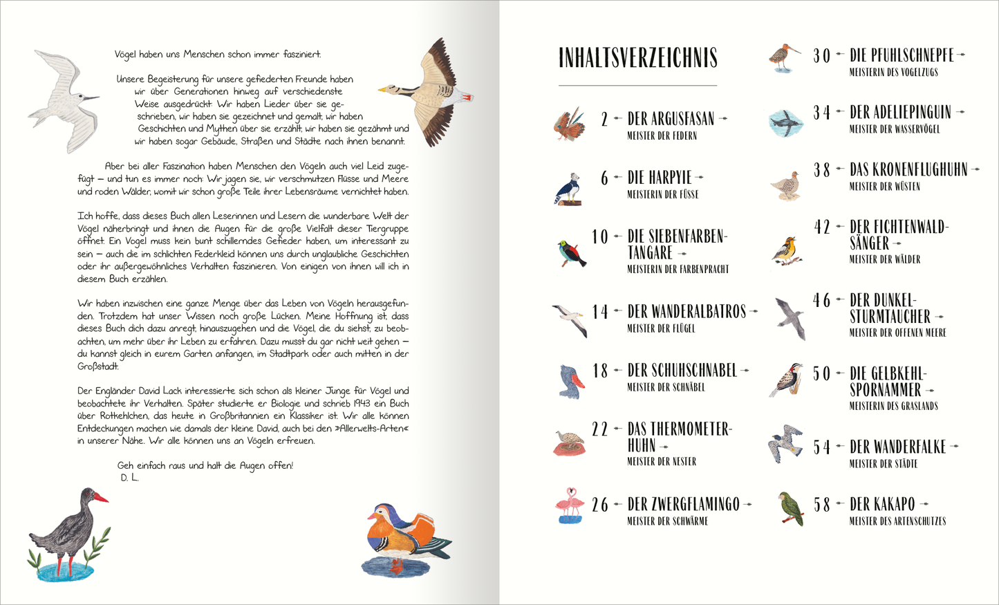 Gezeigt wird eine Innen- oder Zusatzansicht von „Vögel“. Die Seite enthält für verschiedene Vogelarten handgezeichnete Illustrationen in sanften Farben wie Blau, Braun und Grau. Der Text ist klar strukturiert, mit einer ansprechenden Serifenschrift für die Überschriften und einer gut lesbaren Sans-Serif-Schrift für die Fließtexte. Eine detaillierte Inhaltsübersicht listet die Vogelarten auf, begleitet von kleinen, farbigen Abbildungen, die die jeweilige Art darstellen.