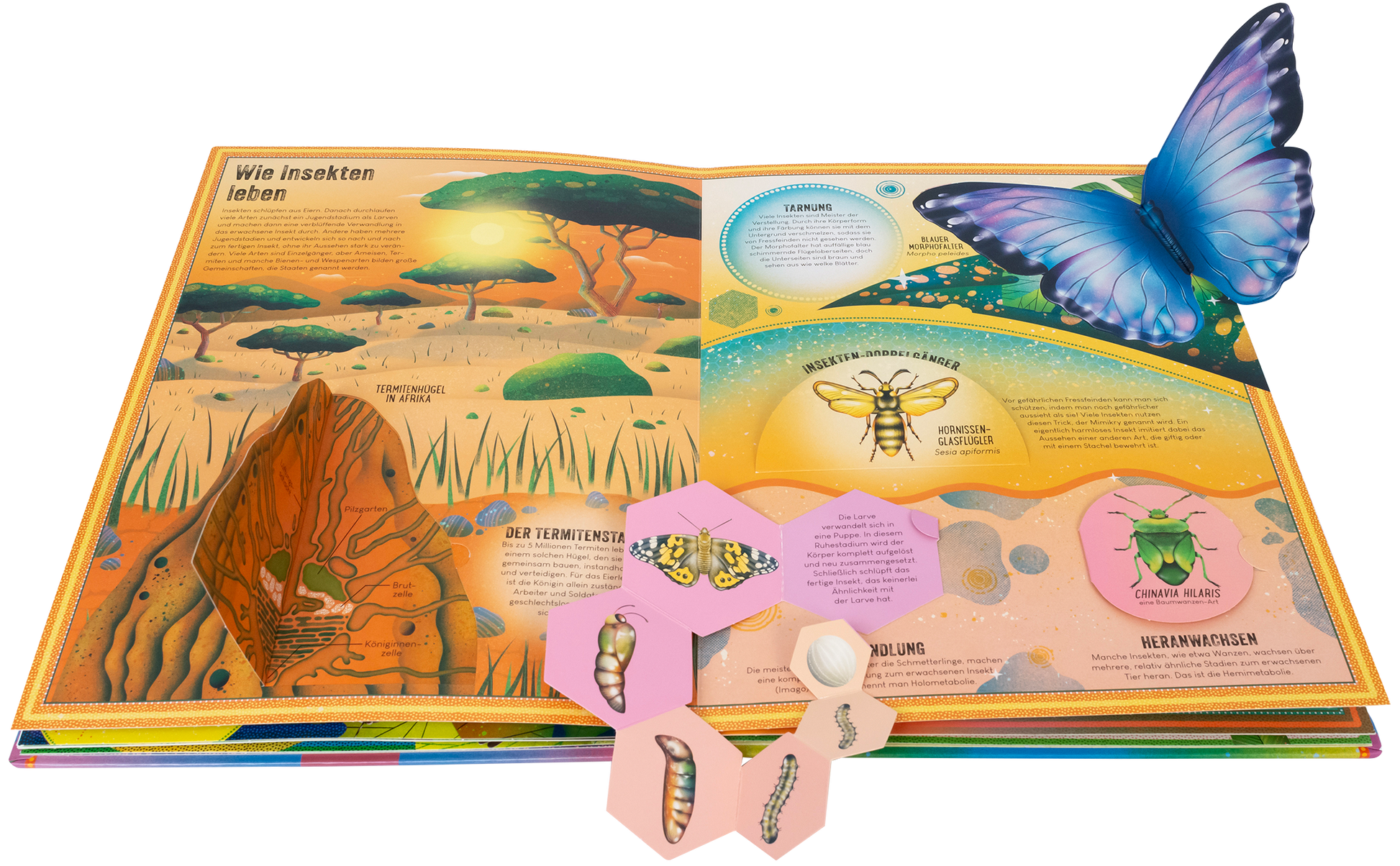 Gezeigt wird eine Innen- oder Zusatzansicht von „Das unglaubliche Pop-up-Buch Insekten“. Die Seite präsentiert lebendige Farben, insbesondere Gelb- und Erdtöne, und zeigt eine stylisierte Landschaft mit Bäumen und einer großen, farbenfrohen Schmetterlings-Pop-up-Illustration. Textfelder erläutern das Leben von Insekten, während hervorgehobene Diagramme die Metamorphose darstellen. Die Typografie ist klar und freundlich, passend zu den kindgerechten Illustrationen und den informativen...