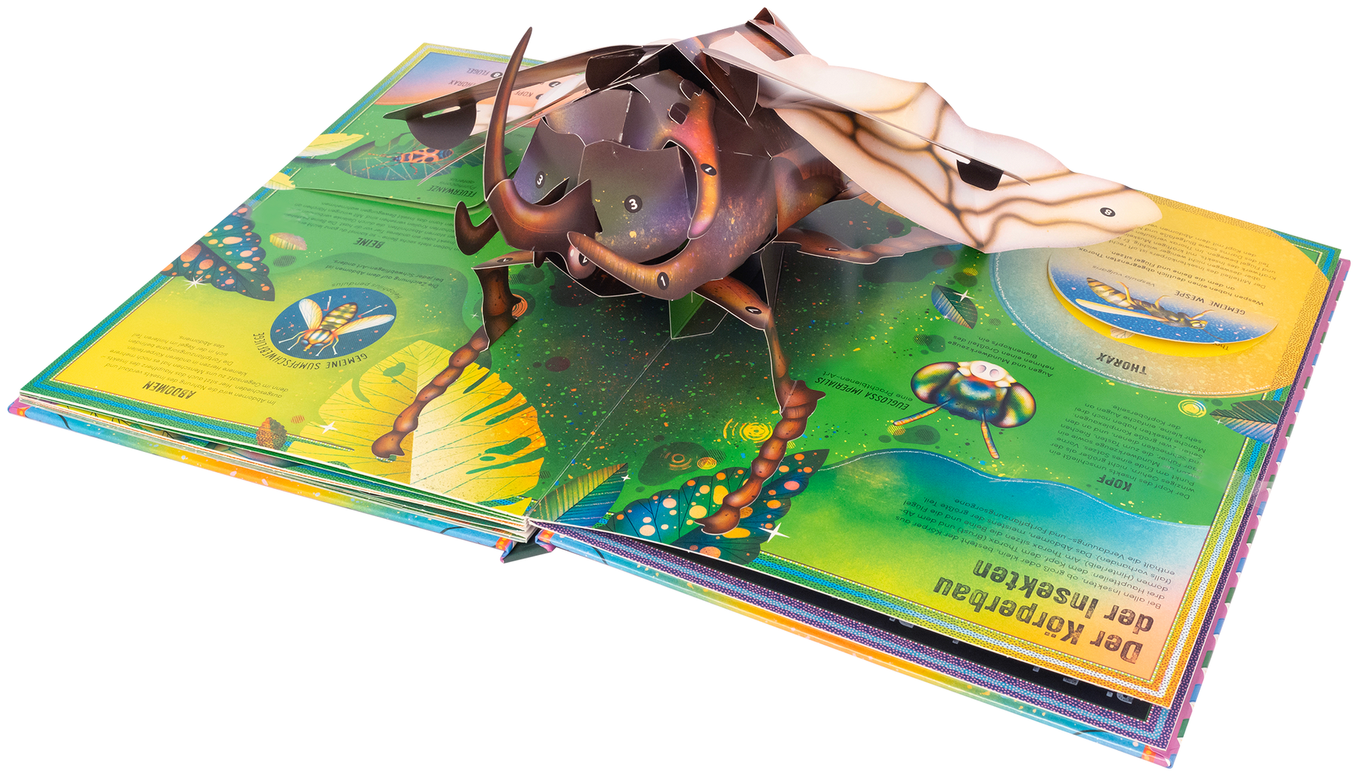 Gezeigt wird eine Innen- oder Zusatzansicht von „Das unglaubliche Pop-up-Buch Insekten“. Die Seite präsentiert einen farbenfrohen, aufklappbaren Insektenkörper vor einem leuchtend grünen Hintergrund. Bunte Grafiken und Illustrationen zeigen verschiedene Insektenarten, umgeben von Naturmotiven. Die Typografie ist verspielt und kindgerecht, während die Pop-up-Elemente dreidimensional wirken und lebendige Details aufweisen, die die Fantasie anregen.