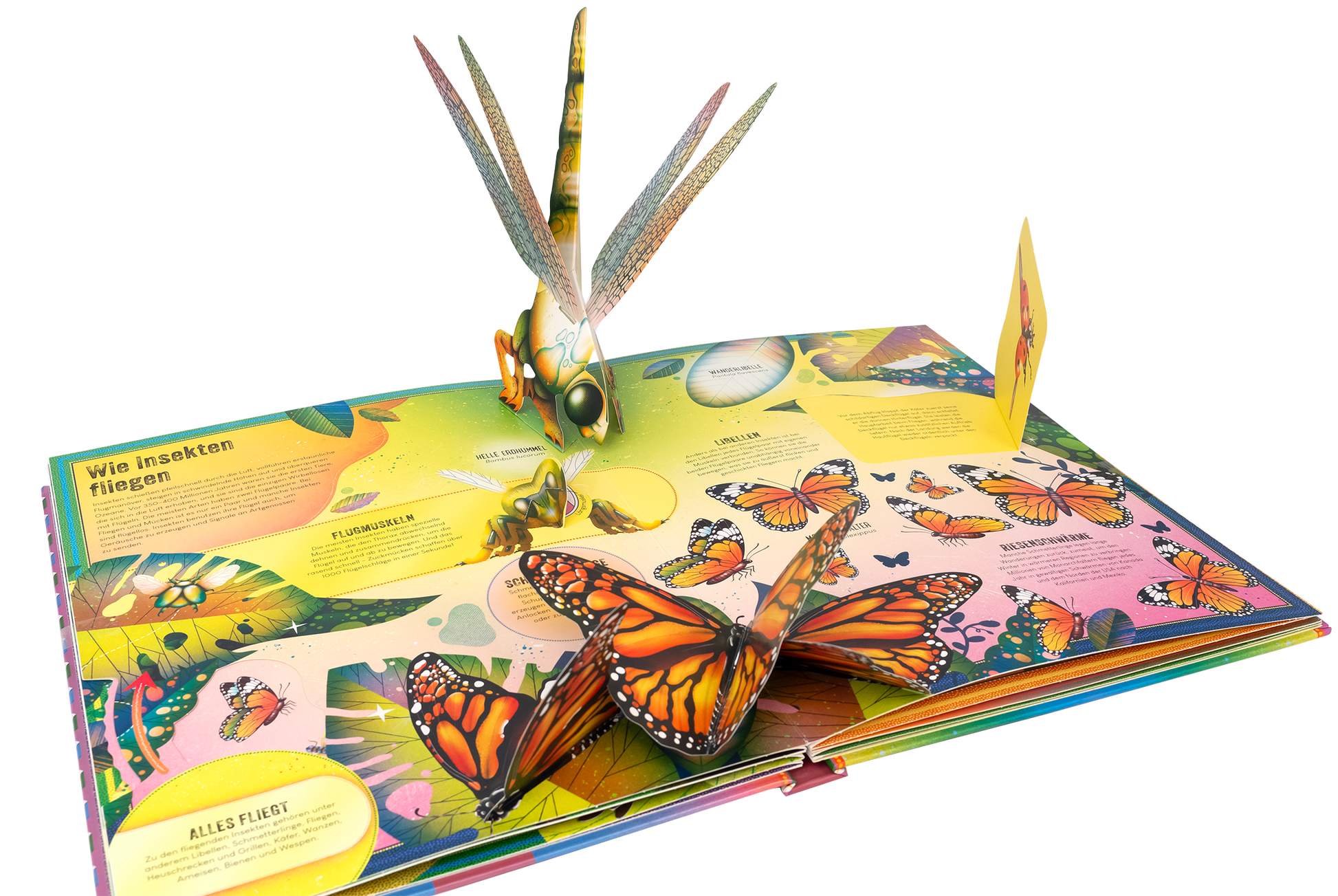 Gezeigt wird eine Innen- oder Zusatzansicht von „Das unglaubliche Pop-up-Buch Insekten“. Die Seite präsentiert lebendige Farben in Blau, Grün und Gelb, mit detaillierten Illustrationen von Schmetterlingen und einer Libelle, die aus dem Buch herausragt. Textfelder fördern interaktive Elemente und erläutern die Insektenwelt. Die Typografie ist klar und gut lesbar, ergänzt durch spielerische Schriftarten für Titel und informative Abschnitte, wodurch das Gesamtdesign ansprechend und...