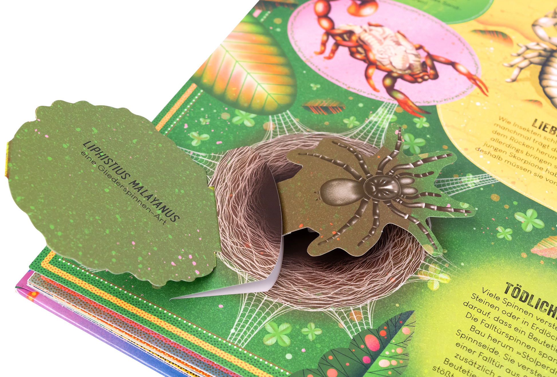 Gezeigt wird eine Innen- oder Zusatzansicht von „Das unglaubliche Pop-up-Buch Insekten“. Der farbenfrohe Hintergrund ist in leuchtenden Grüntönen gehalten und zeigt eine Vielzahl von Insekten und Pflanzen. Im Vordergrund ist eine Pop-up-Spinne zu sehen, die auf einer filigranen Neststruktur ruht. Die Typografie ist verspielt und gut lesbar, in verschiedenen Farben gestaltet, was den bunten Charakter des Buches unterstreicht.