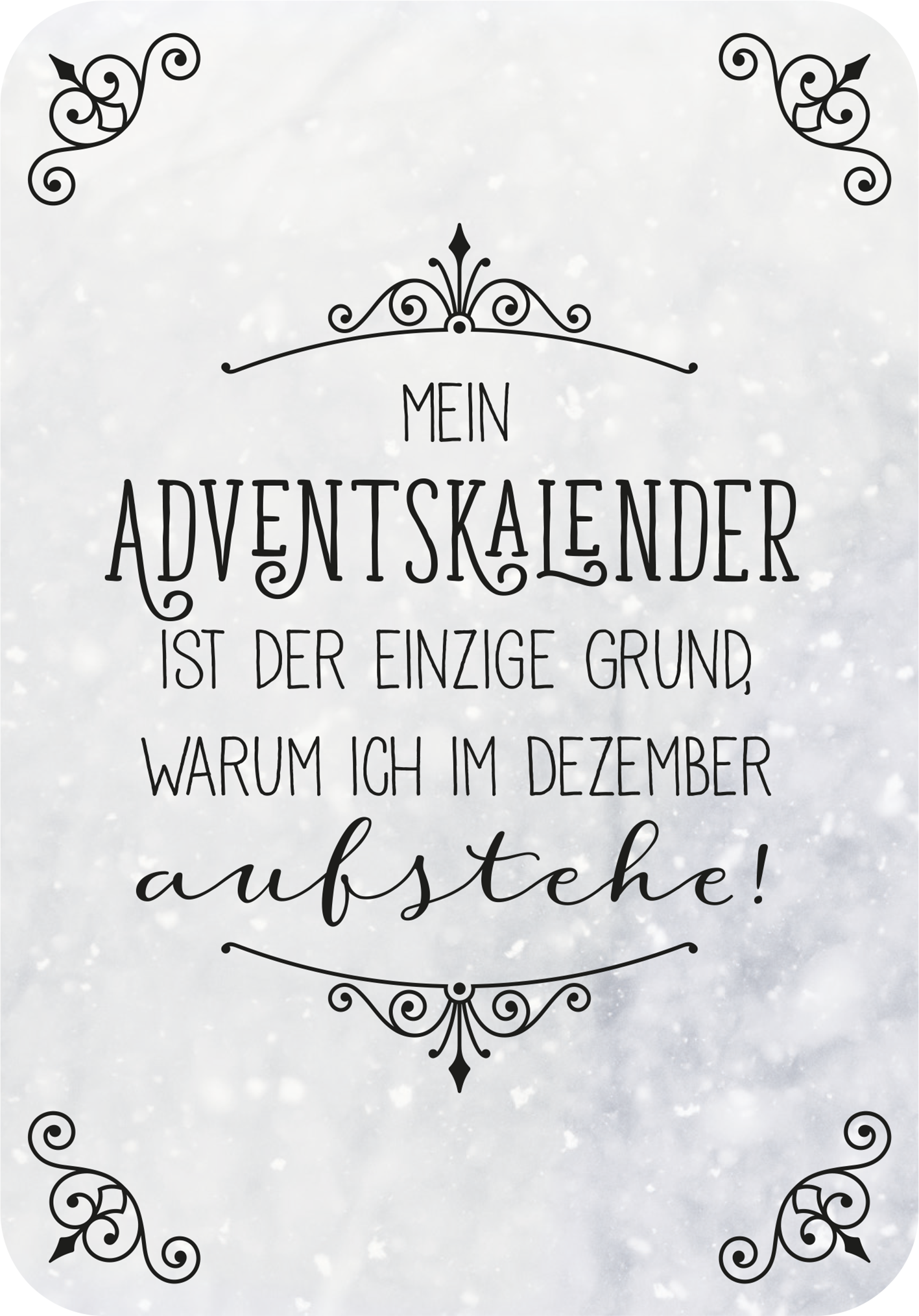 Gezeigt wird eine Innen- oder Zusatzansicht von „Klein, aber gemein“. Der Hintergrund ist in einem sanften, hellen Grauton gehalten, der an Schnee erinnert. Zentrale Elemente sind geschwungene, ornamental gestaltete Ränder in Schwarz sowie eine auffällige, große Schrift, die den Text „Mein ADVENTSKALENDER ist der einzige Grund, warum ich im Dezember aufstehe!“ ausdrucksstark präsentiert. Die Schrift ist eine Kombination aus verschnörkelten und klaren Typografien, was dem...