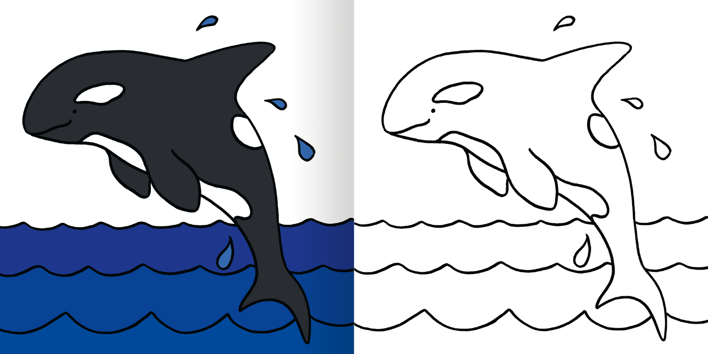 Gezeigt wird eine Innen- oder Zusatzansicht von „Mein erstes dickes Malbuch ab 2 – Zoo“. Auf der linken Seite ist ein Orca in Schwarz-Weiß mit blauen Wellen dargestellt. Der Orca springt aus dem Wasser und sprüht Wassertropfen. Die rechte Seite zeigt die gleiche Szene in einem einfachen Schwarz-Weiß-Design, ideal zum Ausmalen. Die klare, kindgerechte Typografie sorgt für eine ansprechende und einfache Lesbarkeit.
