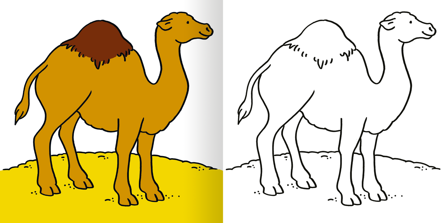 Gezeigt wird eine Innen- oder Zusatzansicht von „Mein erstes dickes Malbuch ab 2 – Zoo“. Die Abbildung zeigt ein farbenfrohes Kamel mit braunem Höcker auf gelbem Boden. Daneben ist eine schwarz-weiß Skizze desselben Kamels zu sehen, die zum Ausmalen anregt. Die klare, dicke Kontur der Zeichnungen ermöglicht eine einfache Farbgestaltung für kleine Kinder. Die fröhlichen Elemente fördern Kreativität und spielerisches Lernen.