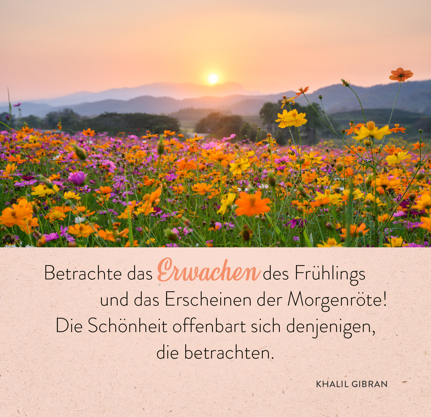 Gezeigt wird eine Innen- oder Zusatzansicht von „365 Inspirationen aus der Natur“. Das Bild zeigt ein blühendes Feld mit bunten Blumen in kräftigen Farben wie Gelb, Lila und Orange, vor einem sanften, orangenen Sonnenaufgang. Am unteren Bildrand ist eine poetische Aussage in kursiver, heller Schrift platziert, die Gefühle von Frühling und Schönheit vermittelt. Die Typografie ist elegant und gut leserlich, unterstrichen von einer warmen, freundlichen Hintergrundfarbe.