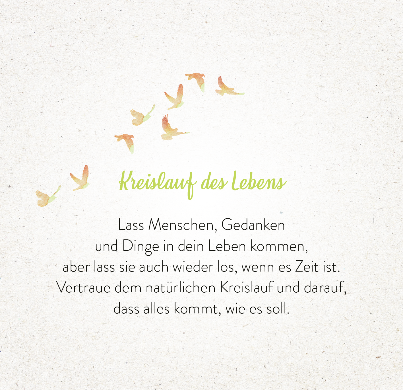 Gezeigt wird eine Innen- oder Zusatzansicht von „365 Inspirationen aus der Natur“. Die Gestaltung ist geprägt von sanften Farben in Pastelltönen, insbesondere Gelb- und Grüntönen. Im oberen Bereich fliegen zarte Wasserfarbvögel, die den Schriftzug „Kreislauf des Lebens“ in geschwungener, grüner Schrift umrahmen. Der darunter stehende Text ist in einer klaren, gut lesbaren Schriftart gehalten und lädt den Leser ein, den natürlichen Kreislauf des Lebens zu vertrauen.