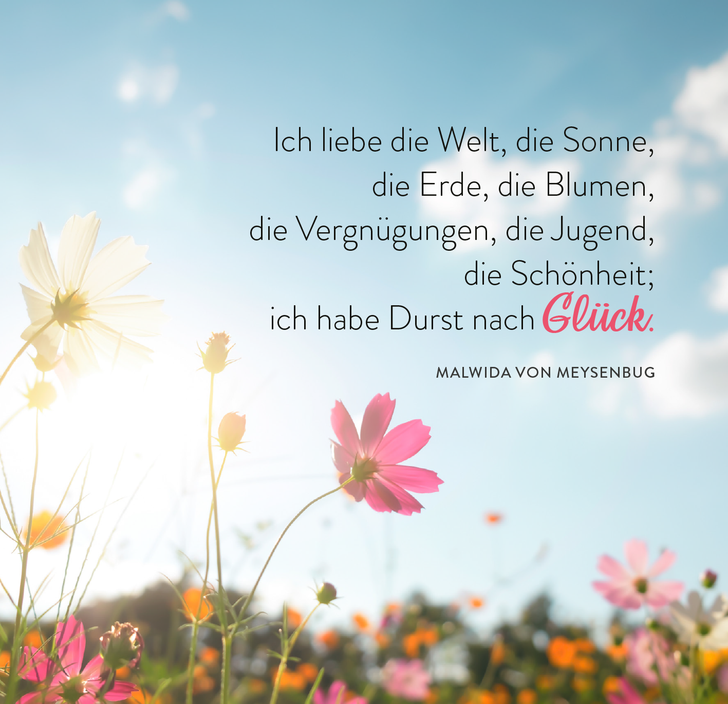 Gezeigt wird eine Innen- oder Zusatzansicht von „365 Tage Sonne im Herzen“. Der Hintergrund ist hellblau mit strahlendem Sonnenlicht, das auf eine Wiese voller bunter Blumen fällt. Die zentrale Schrift besteht aus einer Mischung aus klarer, eleganter Typografie und einer betonten, größeren Schriftart für das Wort „Glück“, das in kräftigem Pink hervorgehoben ist. Die Farben sind lebhaft und vermitteln eine fröhliche, optimistische Stimmung.