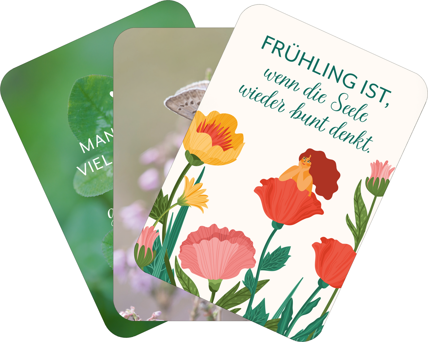 Gezeigt wird eine Innen- oder Zusatzansicht von „Wiesenglück“. Drei Karten sind übereinander angeordnet. Die obere Karte zeigt einen Zitattext in Grün auf einem hellen Hintergrund: „FRÜHLING IST, wenn die Seele wieder bunt denkt.“ Die zweite Karte präsentiert ein Detail eines Schmetterlings auf einem grünen Hintergrund, während die unterste Karte mit einem Blattdesign von verschiedenen Pflanzen in sanften Grüntönen verziert ist. Die Schrift ist klar und einladend.