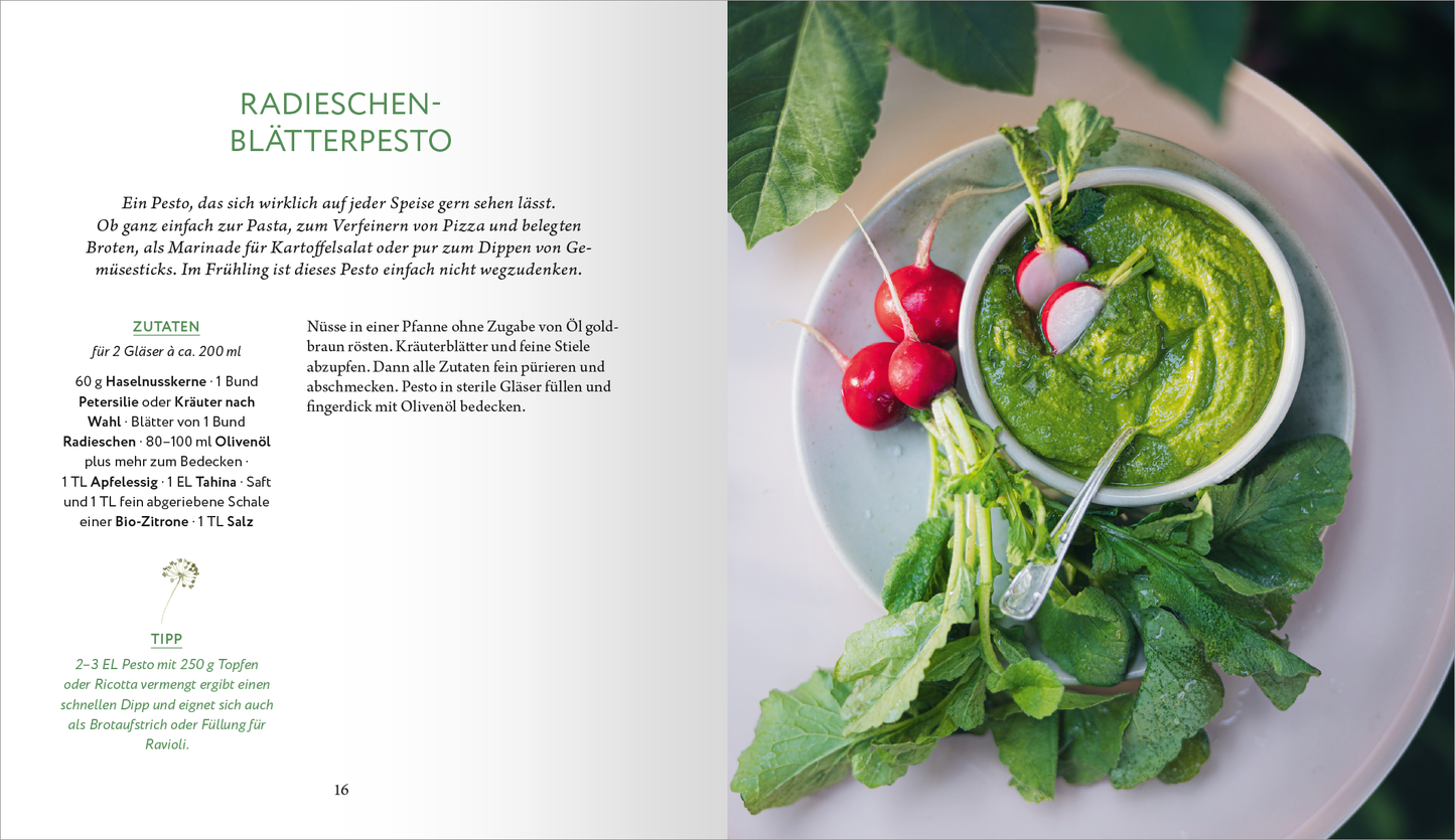 Gezeigt wird eine Innen- oder Zusatzansicht von „Der Geschmack von Frühling“. Die Seite präsentiert ein Rezept für Radieschen-Blätterpesto, umrahmt von frischen Radieschen und grünen Blättern. Die Farben sind lebendig und frisch, wobei das grüne Pesto im Mittelpunkt steht. Links wird der Text in leichter, lesbarer Schrift dargestellt, begleitet von Zutaten und Zubereitungshinweisen. Die sanfte Typografie und das klare Layout sorgen für eine einladende Ästhetik.