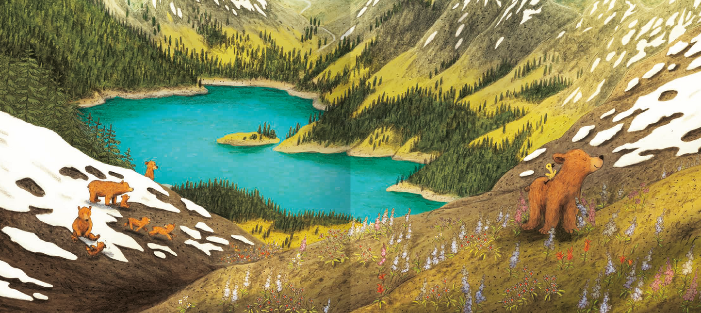 Gezeigt wird eine Innen- oder Zusatzansicht von „Es wird Frühling, kleiner Bär!“. Die Illustration zeigt eine malerische Berglandschaft mit einem strahlend blauen See und schneebedeckten Bergen im Hintergrund. Im Vordergrund sind mehrere Bären in warmen Brauntönen zu sehen, die sich zwischen bunten Blumen und saftigem Gras bewegen. Die Farben sind lebhaft und harmonisch, während die Typografie schlicht und gut lesbar ist, wodurch die freundliche Atmosphäre der Frühlingsszene...