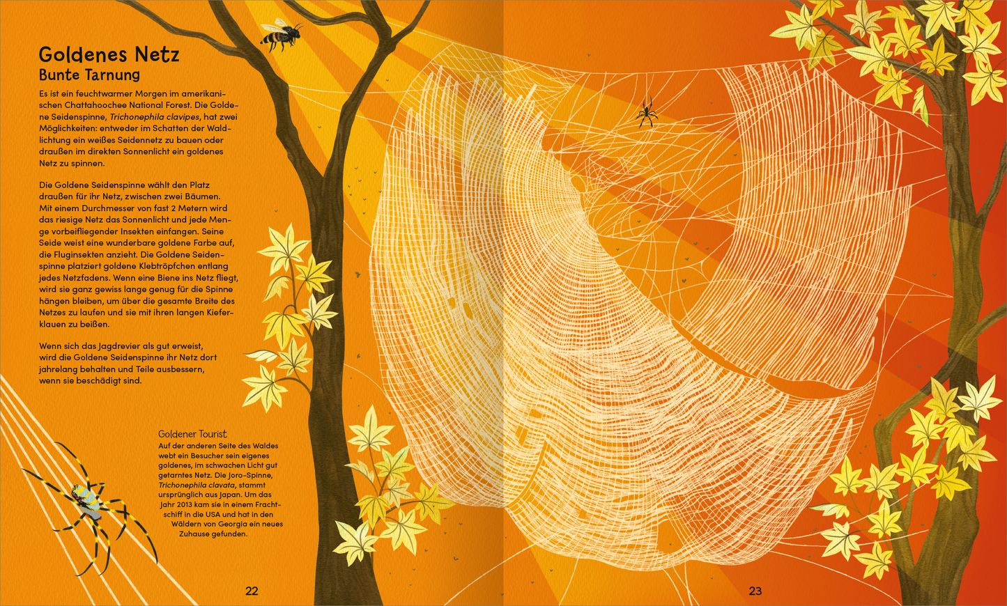 Gezeigt wird eine Innen- oder Zusatzansicht von „Wunderwelt der Spinnennetze“. Die farbenfrohe Illustration präsentiert ein goldenes Netz, das zwischen zwei stilisierten Bäumen schimmert. Der Hintergrund ist in kräftigen Orange- und Gelbtönen gehalten, während die Blätter der Bäume in leuchtendem Gelb erscheinen. Der Text ist in gut lesbarer, dunkler Typografie gehalten und erklärt das Thema Spinnennetze anschaulich. Kleinere Insekten sind dezent in die Szene integriert und...