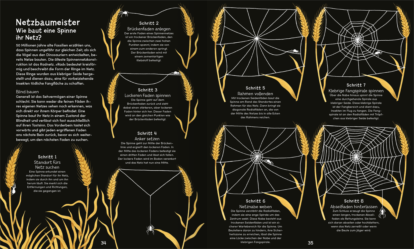 Gezeigt wird eine Innen- oder Zusatzansicht von „Wunderwelt der Spinnennetze“. Die Seiten sind auf schwarzem Hintergrund gestaltet und bieten acht Schritte zur Konstruktion eines Spinnennetzes. Weißer Text erklärt die jeweiligen Anleitungen, während vereinfachte Illustrationen die Schritte visuell unterstützen. Goldene, stilisierte Halme rahmen die Seiten und schaffen eine ansprechende Verbindung zur Natur. Die Typografie ist klar und gut lesbar, wodurch die Informationen leicht...