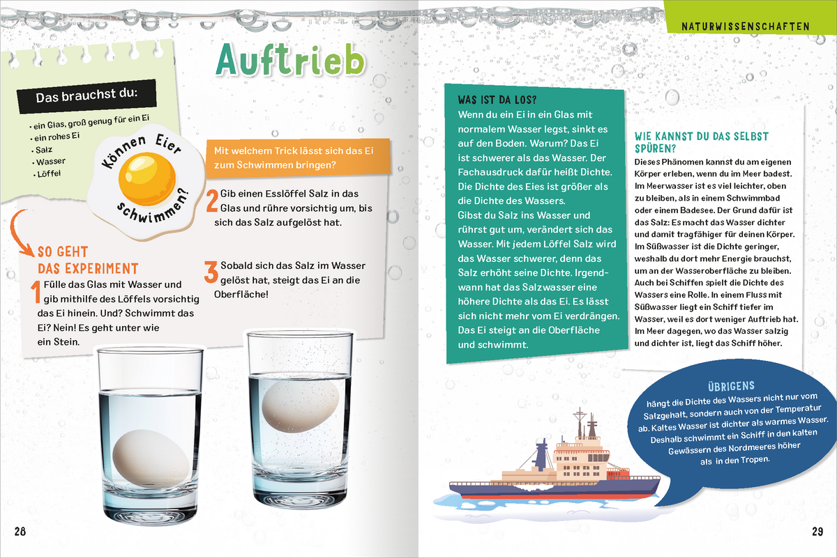 Gezeigt wird eine Innen- oder Zusatzansicht von „Science & Kids – Geniale Experimente“.