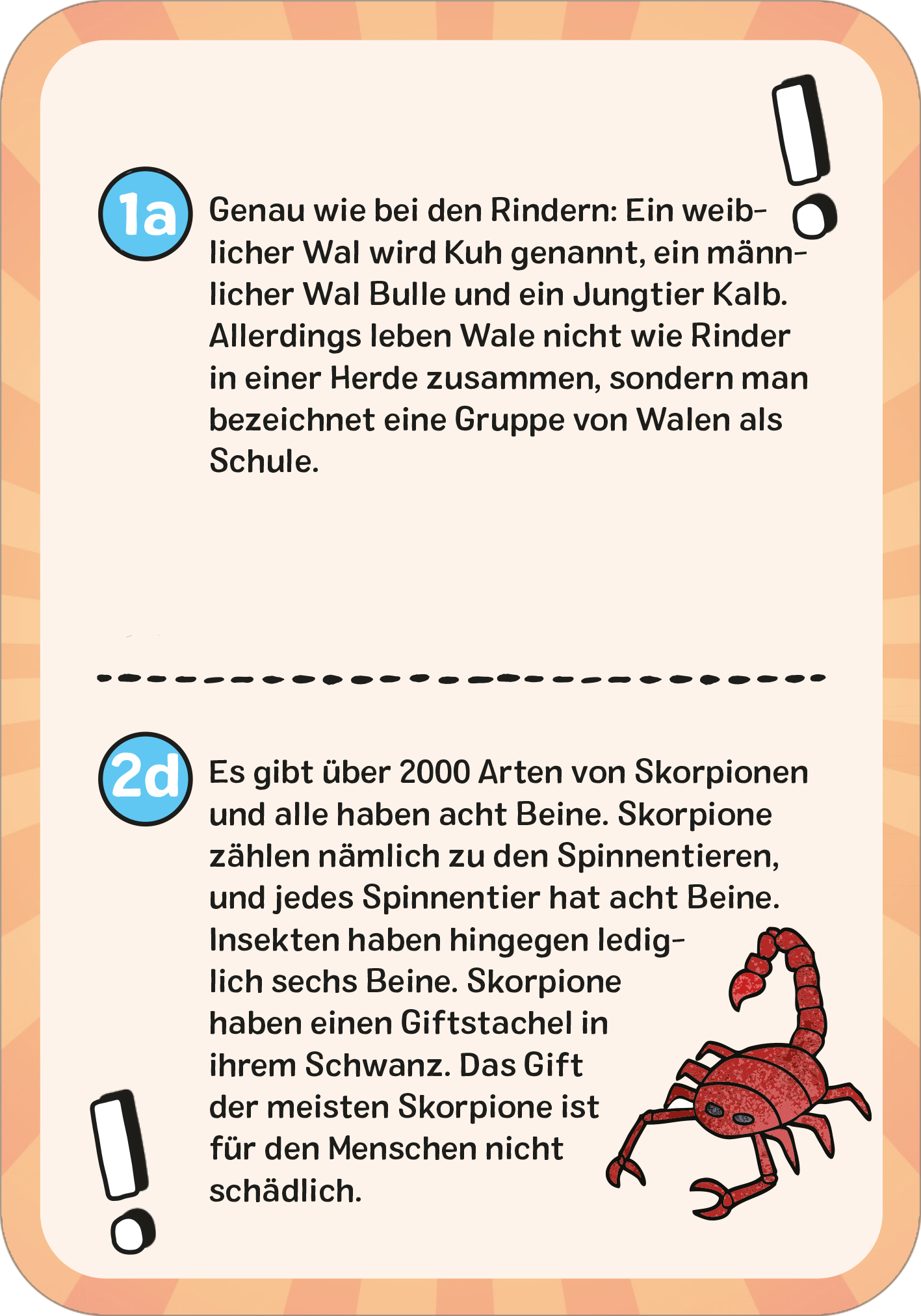 Gezeigt wird eine Innen- oder Zusatzansicht von „Das wilde Tier-Quiz“. Die Karte hat einen orangefarbenen Hintergrund mit einer weicheren, gewellten Struktur. Oben links befindet sich eine blaue Zahlenmarkierung mit der Ziffer „1a“ und einer Erklärblase. Der Text ist in klarer, gut lesbarer Schrift gehalten und beschreibt Wale und Skorpione. Unten rechts ist eine Illustration eines Skorpions in lebendigen Farben platziert. Das Layout ist ansprechend und fördert die Lesbarkeit.