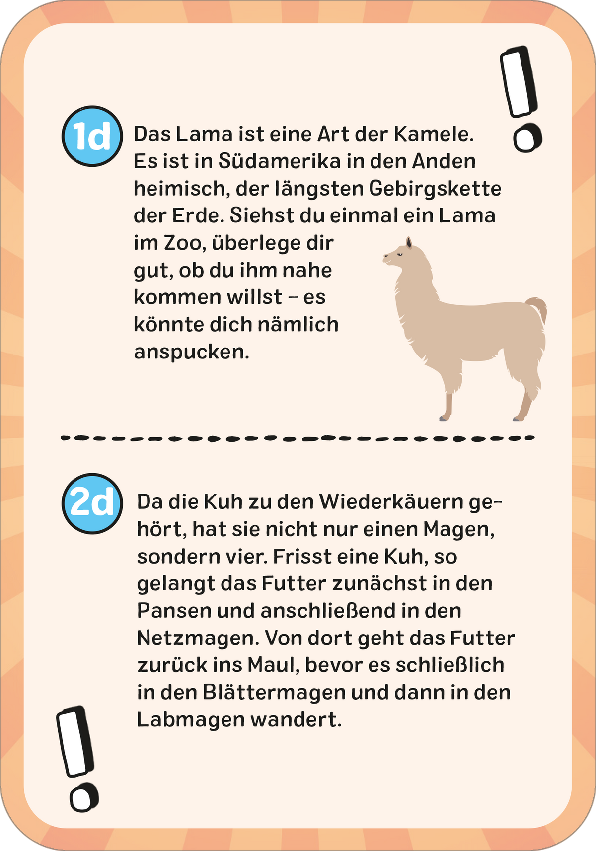 Gezeigt wird eine Innen- oder Zusatzansicht von „Das wilde Tier-Quiz“. Die Seite ist in einem hellen, orangefarbenen Hintergrund gestaltet und enthält zwei Informationskästen. Jeder Kasten ist durch eine grafische Umrandung hervorgehoben und zeigt eine Illustration eines Tieres neben einem Textblock. Die Schrift ist klar und gut lesbar, mit einer Mischung aus großen und kleinen Schriftarten. Wichtige Informationen sind durch Ausrufezeichen und fettgedruckte Schriftart gekennzeichnet.