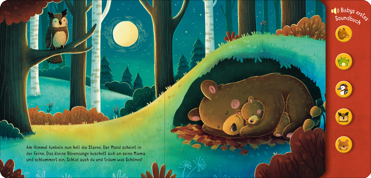 Gezeigt wird eine Innen- oder Zusatzansicht von „Hör mal, so klingt der Wald!“. Die Darstellung zeigt einen nächtlichen Wald mit sanften, leuchtenden Farben. Links kuschelt ein Bärenbaby an seiner Mutter in einer geschwungenen Landschaft. Im Hintergrund sind hohe, stilisierte Bäume und ein großer, runder Mond sichtbar. Ein Uhu sitzt auf einem Ast. Der Text ist in einer kinderfreundlichen, gut lesbaren Schriftart gehalten, die den Titel und eine kurze Beschreibung der Szene ergänzt.