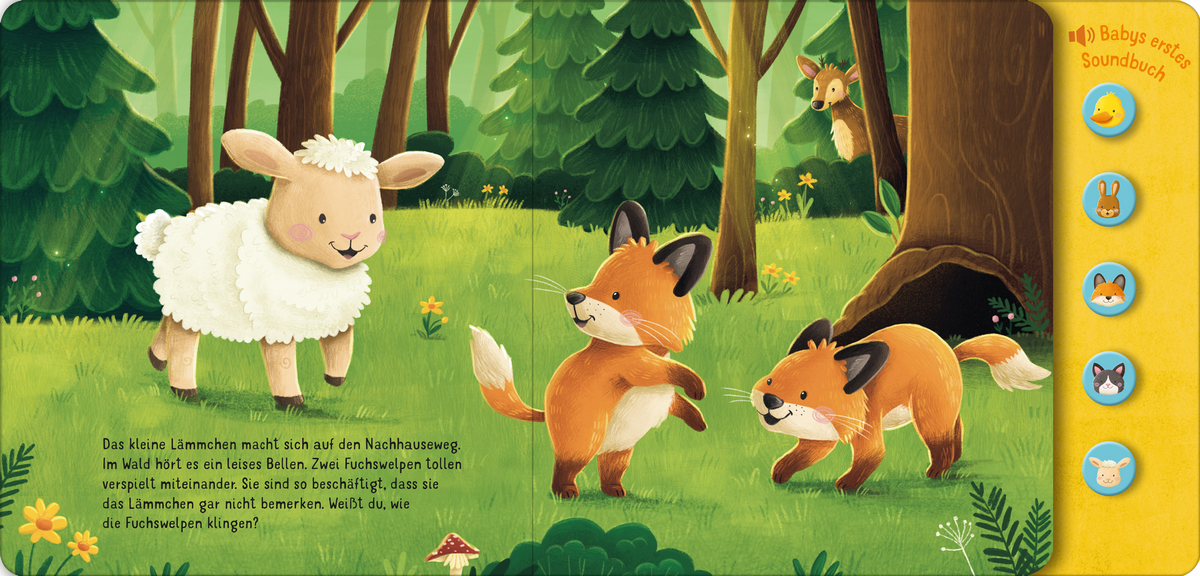Gezeigt wird eine Innen- oder Zusatzansicht von „Hör mal, so klingen die Tierkinder!“. Die Illustration zeigt ein buntes, freundliches Waldszenario mit einem fröhlichen Schaf, das in der Mitte steht, umgeben von zwei neugierigen Füchsen. Die Farben sind lebhaft und einladend, insbesondere Grüntöne für die Bäume und sanfte Erdtöne für die Tiere. Die Schrift ist klar und kindgerecht, mit eingerahmten Textpassagen, die die Handlung beschreiben und zur Interaktion einladen.