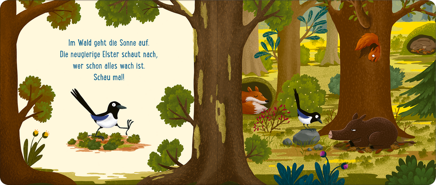 Gezeigt wird eine Innen- oder Zusatzansicht von „Gute Nacht im Wald“. Die Seite zeigt eine farbenfrohe Waldlandschaft mit grünen Bäumen und bunten Pflanzen. Auf der linken Seite steht ein Text in verspielter Schrift, der mit einer Illustration einer neugierigen Elster ergänzt wird. Rechts sind ein Wildschwein, ein Eichhörnchen und weitere Waldtiere abgebildet. Die sanften Farben und die kindgerechte Darstellung schaffen eine einladende und entspannende Atmosphäre.