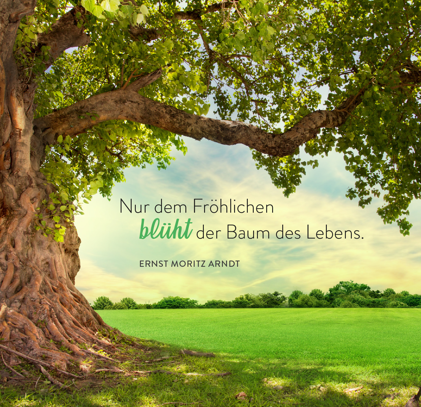 Gezeigt wird eine Innen- oder Zusatzansicht von „365 Glücksgefühle für jeden Tag“. Der Hintergrund zeigt eine großzügige Wiese unter einem strahlend blauen Himmel. Im Vordergrund steht ein großer Baum mit einer mächtigen, knorrigen Wurzel. Der Text „Nur dem Fröhlichen blüht der Baum des Lebens.“ ist in einer eleganten, gut lesbaren Schriftart, teils in sanften Blau- und Grautönen, die harmonisch zu den natürlichen Farben der Szene passen.