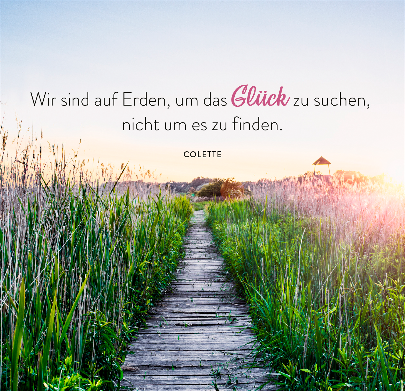 Gezeigt wird eine Innen- oder Zusatzansicht von „365 Tage einatmen. Ausatmen. Lächeln.“. Die Abbildung zeigt einen schmalen Holzsteig, der durch üppige grüne Vegetation führt und in die Ferne reicht. Über dem Steg steht in großer, eleganter Schrift der Text: „Wir sind auf Erden, um das Glück zu suchen, nicht um es zu finden.“ Das Wort „Glück“ ist in auffälligem Pink hervorgehoben. Unten steht der Name „Colette“ in schlichter, schwarzer Schrift. Der Himmel zeigt sanfte...