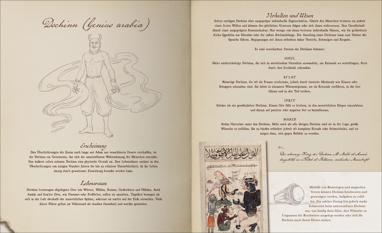 Gezeigt wird eine Innen- oder Zusatzansicht von „Aufstand der Fabelwesen“. Die Darstellung zeigt einen stilisierten Dschinn, umgeben von geschwungenen Linien, die seine magische Energie symbolisieren. Die Farbpalette umfasst Beige- und Brauntöne, die mit tiefblauen Akzenten kontrastieren. Die Typografie ist elegant und gut lesbar, während die Texte informative Beschreibungen zu den Charakteren und ihrer Herkunft enthalten. Illustrationen und Texte sind harmonisch angeordnet, was die...