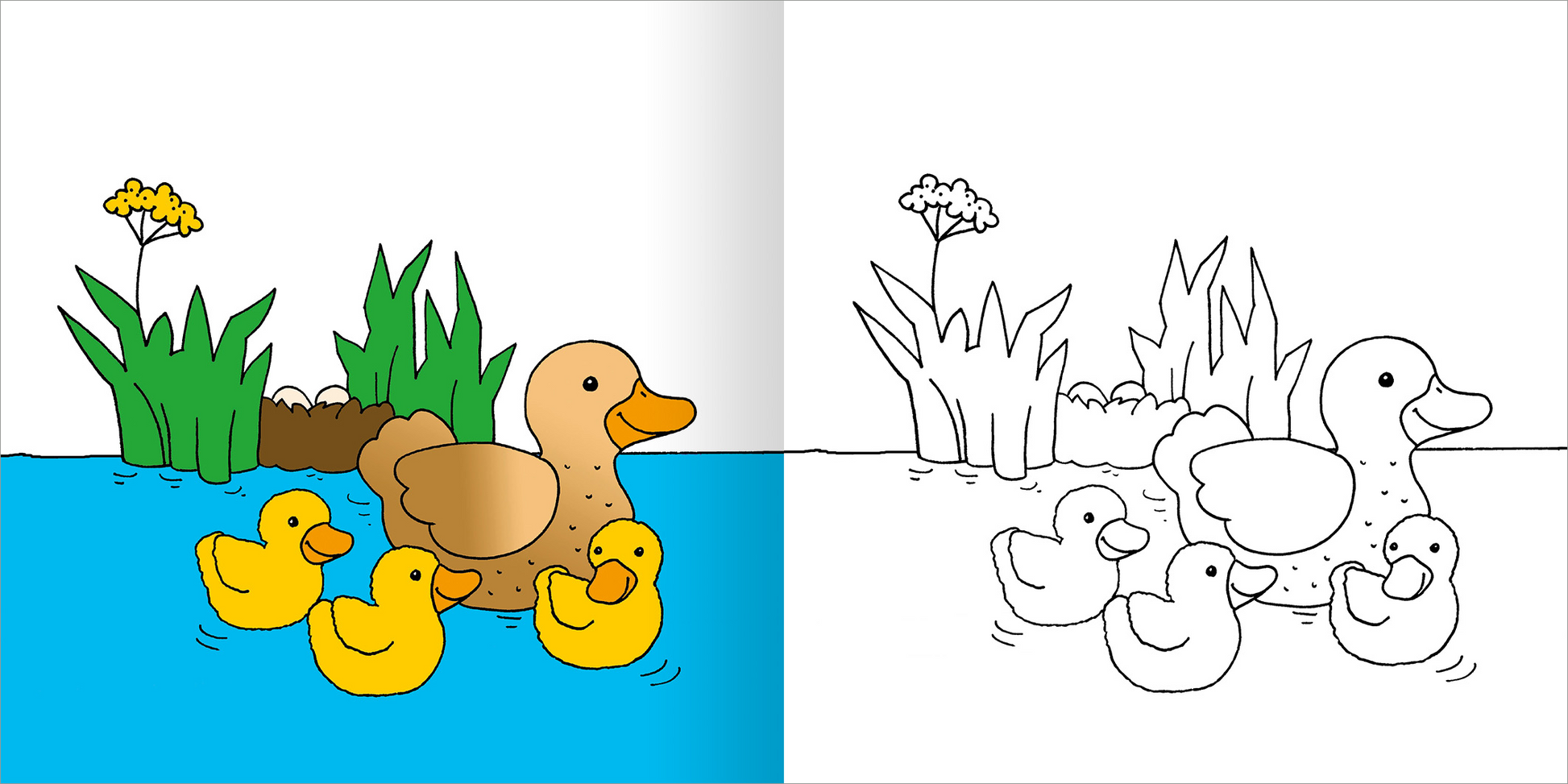 Gezeigt wird eine Innen- oder Zusatzansicht von „Mein erstes dickes Malbuch ab 2 – Frühling“. Die linke Seite zeigt eine bunte Illustration mit einer Entenmama und ihren gelben Küken im blauen Wasser, umgeben von grünen Pflanzen und gelben Blumen. Die rechte Seite ist eine schwarz-weiße Umrisszeichnung der gleichen Szene, die darauf wartet, ausgemalt zu werden. Die simple Typografie und klare Linienführung sind für kleine Kinder optimal gestaltet.