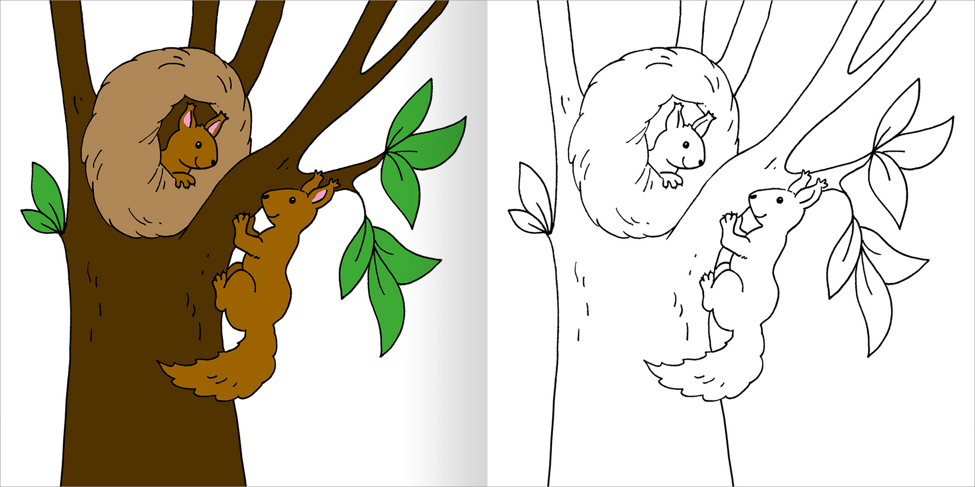 Gezeigt wird eine Innen- oder Zusatzansicht von „Mein erstes dickes Malbuch ab 2 – Frühling“. Die Abbildung zeigt einen bunten Baum mit einer knuffigen, braunen Eichhörnchenmama und ihrem süßen, braunen Jungtier, das an einem Zweig hängt. Die Blätter sind in frischem Grün gehalten. Rechts ist die gleiche Zeichnung in einer linienhaften, schwarz-weißen Ausführung abgebildet, die zum Ausmalen einlädt. Die Schrift ist kindgerecht und gut lesbar.