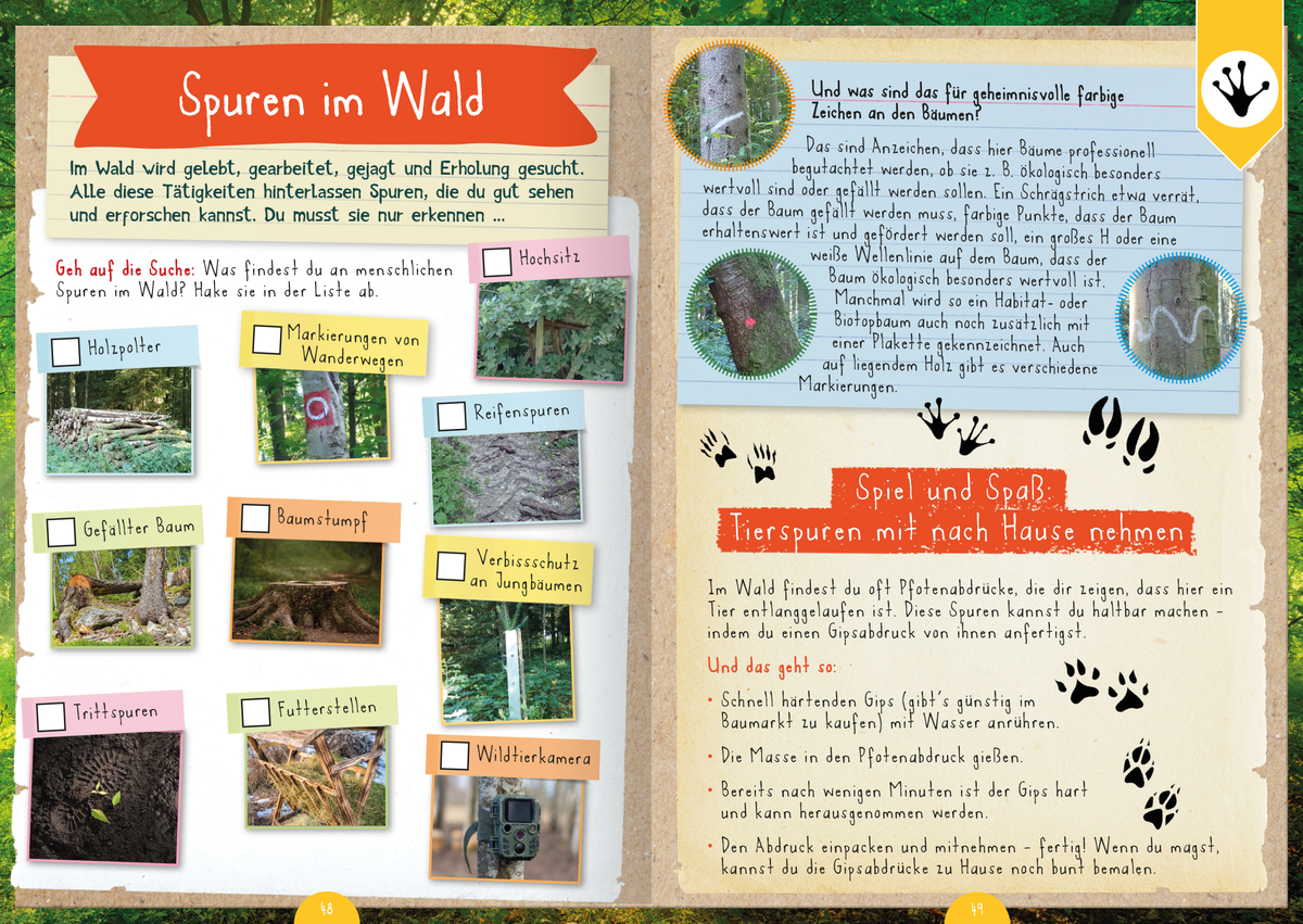 Gezeigt wird eine Innen- oder Zusatzansicht von „Naturforscher-Kids – Mitmachbuch im Wald“.