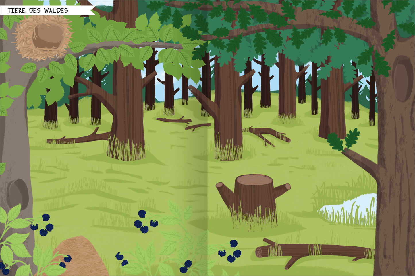 Gezeigt wird eine Innen- oder Zusatzansicht von „Naturforscher-Kids – Stickerheft Bäume“. Die Illustration zeigt einen Wald mit kräftigen, braunen Baumstämmen und üppigem, grünem Laub. Auf der linken Seite sind Blaubeeren und eine kleine Wiese sichtbar. In der oberen Ecke befindet sich ein Nistplatz. Die Farben sind in sanften Grüntönen gehalten, während die Typografie in einem klaren, verspielten Schriftstil den Titel „Tiere des Waldes“ präsentiert.