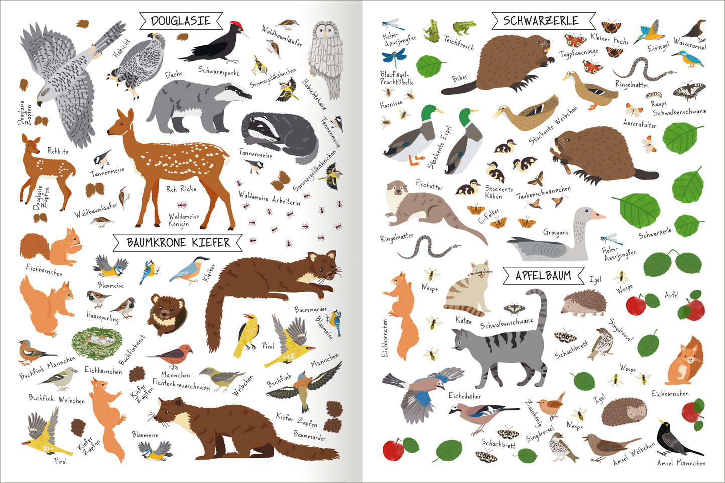 Gezeigt wird eine Innen- oder Zusatzansicht von „Naturforscher-Kids – Stickerheft Bäume“. Die doppelseitige Illustration zeigt eine Vielzahl von Tieren und Pflanzen, darunter Eichhörnchen, Füchse und verschiedene Vogelarten. Die Bilder sind farbenfroh und kindgerecht gestaltet, mit einer Mischung aus sanften Pastelltönen und lebendigen Farben. Über den Abbildungen stehen informierende Überschriften in einer verspielten Schriftart, die die tierischen und pflanzlichen Bewohner der...