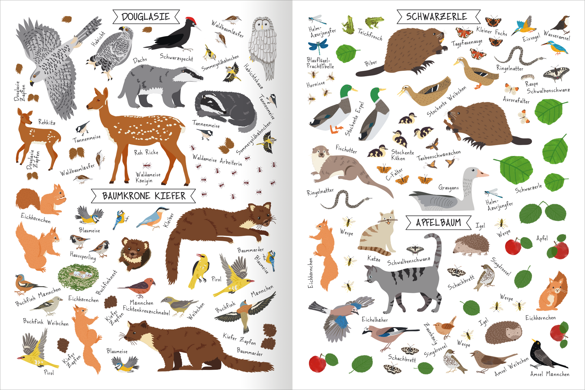 Gezeigt wird eine Innen- oder Zusatzansicht von „Naturforscher-Kids – Stickerheft Bäume“. Die doppelseitige Illustration zeigt eine Vielzahl von Tieren und Pflanzen, darunter Eichhörnchen, Füchse und verschiedene Vogelarten. Die Bilder sind farbenfroh und kindgerecht gestaltet, mit einer Mischung aus sanften Pastelltönen und lebendigen Farben. Über den Abbildungen stehen informierende Überschriften in einer verspielten Schriftart, die die tierischen und pflanzlichen Bewohner der...