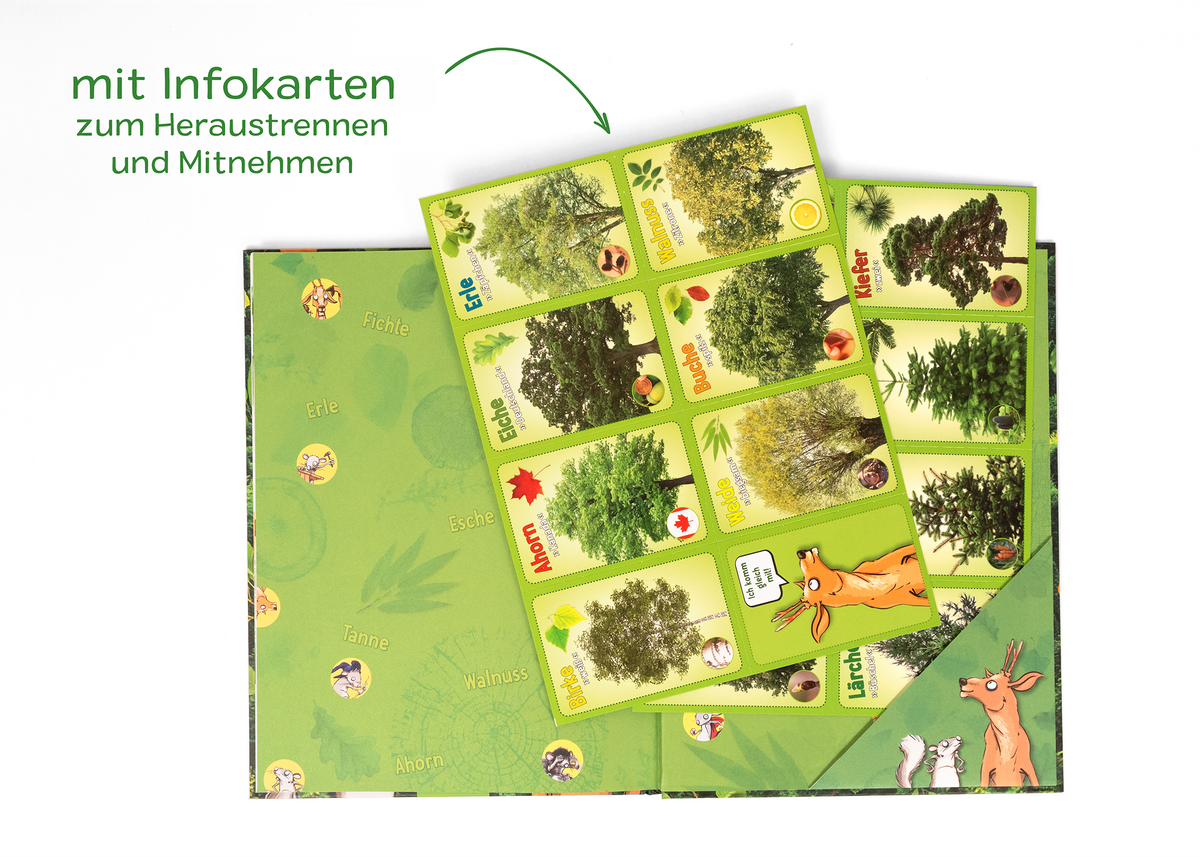Gezeigt wird eine Innen- oder Zusatzansicht von „Unsere Wälder“. Die Ansicht präsentiert eine grüne Hintergrundgestaltung mit Illustrationen von Bäumen und Tieren. Im Vordergrund befinden sich herausnehmbare Infokarten, die auf hellem Grund verschiedene Baumarten zeigen, stark farblich akzentuiert in Grün- und Erdtönen. Die Schrift ist freundlich und gut lesbar, mit klarer Schriftart und prominentem Einsatz von Icons zur Unterstützung der Informationen.