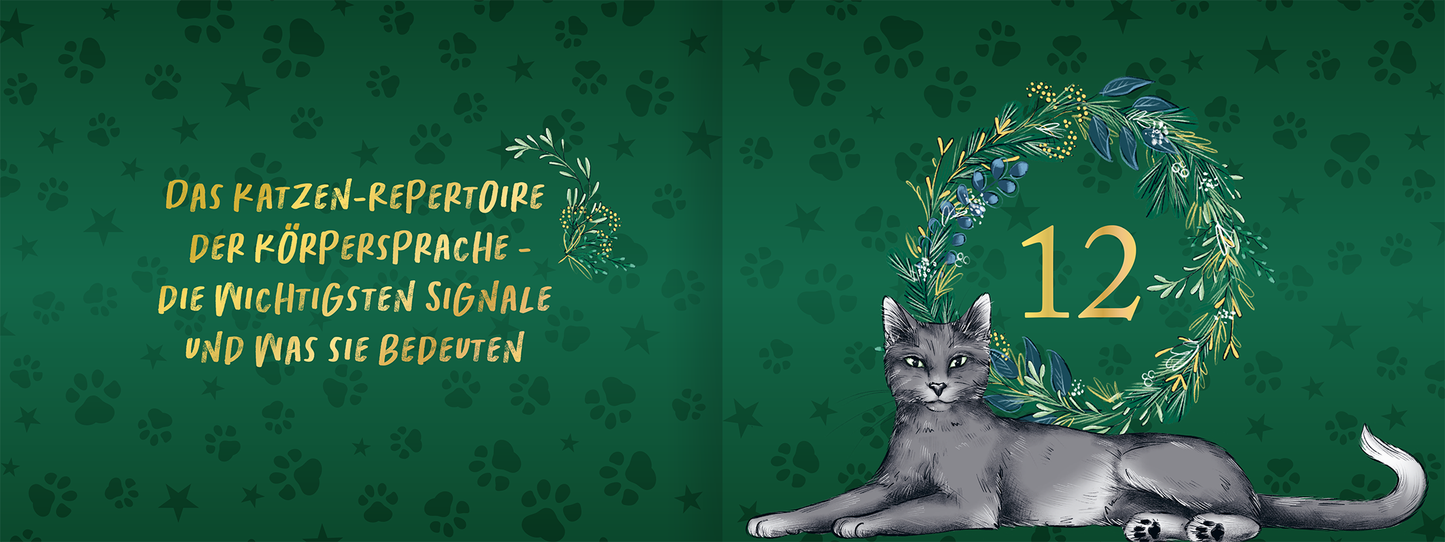 Gezeigt wird eine Innen- oder Zusatzansicht von „Pfoten vom Tannenbaum“.