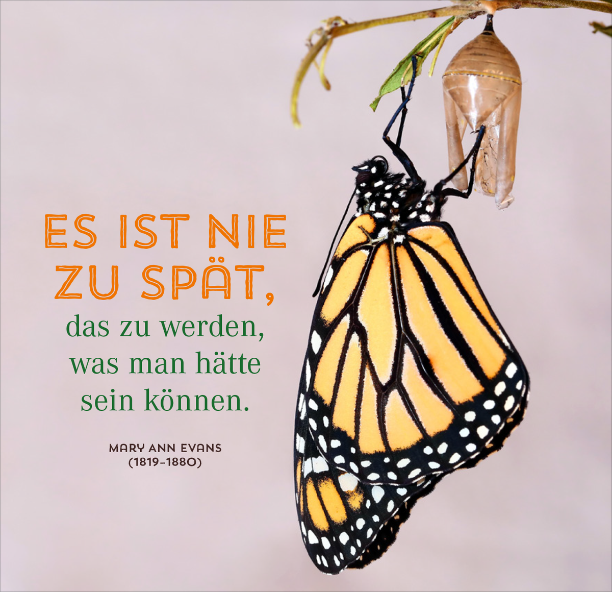 Gezeigt wird eine Innen- oder Zusatzansicht von „Nimm dir Zeit für große Träume“. Die Abbildung zeigt einen Schmetterling in lebendigen Gelb- und Schwarztönen, der an einem Zweig hängt. Im Hintergrund ist ein Kokon erkennbar. Die zentrale Botschaft „Es ist nie zu spät, das zu werden, was man hätte sein können“ ist in einer modernen, klaren Schriftart in orange und grün gestaltet. Darunter steht der Name „Mary Ann Evans“ in kleinerer, grauer Typografie.