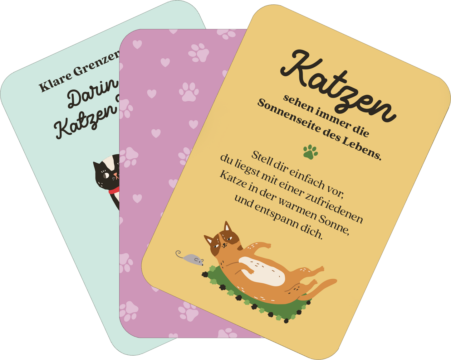Gezeigt wird eine Innen- oder Zusatzansicht von „MIEZNachrichten für jede Lebenslage“. Die Ansicht zeigt drei Karten, die in unterschiedlichen sanften Farben gestaltet sind: eine grüne, eine orange und eine beige Karte. Die Karten enthalten illustrative Katze-Designs und handschriftliche Typografie. Auf der orangenen Karte steht der Schriftzug „Katzen sehen immer die Sonnenseite des Lebens“ sowie eine entspannende Beschreibung, während die anderen Karten verschiedene Lebensweisheiten...