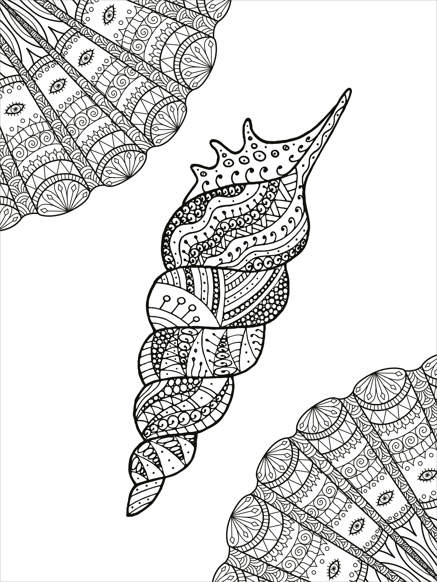 Gezeigt wird eine Innen- oder Zusatzansicht von „Mein Mandala-Tier-Malbuch – Unterwasserträume“. Die Abbildung zeigt eine detaillierte Darstellung eines Schneckenhauses, umgeben von weich geschwungenen Muscheln. Die Zeichnung ist in Schwarz-Weiß gehalten und enthält feine Linien und komplexe Muster, die zum Ausmalen anregen. Die Verwendung von verschiedenen Texturen und Formen verleiht der Illustration Tiefe und Dimension, wodurch eine fantasievolle Unterwasserwelt entsteht.
