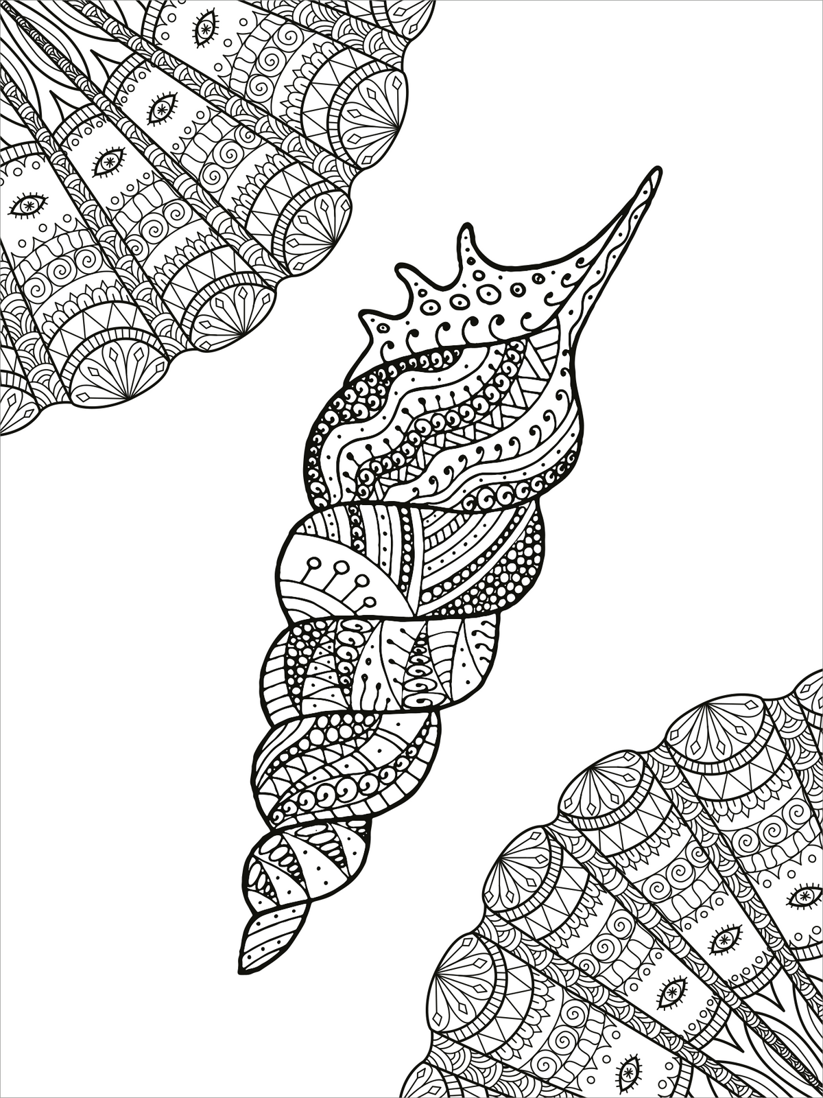 Gezeigt wird eine Innen- oder Zusatzansicht von „Mein Mandala-Tier-Malbuch – Unterwasserträume“. Die Abbildung zeigt eine detaillierte Darstellung eines Schneckenhauses, umgeben von weich geschwungenen Muscheln. Die Zeichnung ist in Schwarz-Weiß gehalten und enthält feine Linien und komplexe Muster, die zum Ausmalen anregen. Die Verwendung von verschiedenen Texturen und Formen verleiht der Illustration Tiefe und Dimension, wodurch eine fantasievolle Unterwasserwelt entsteht.