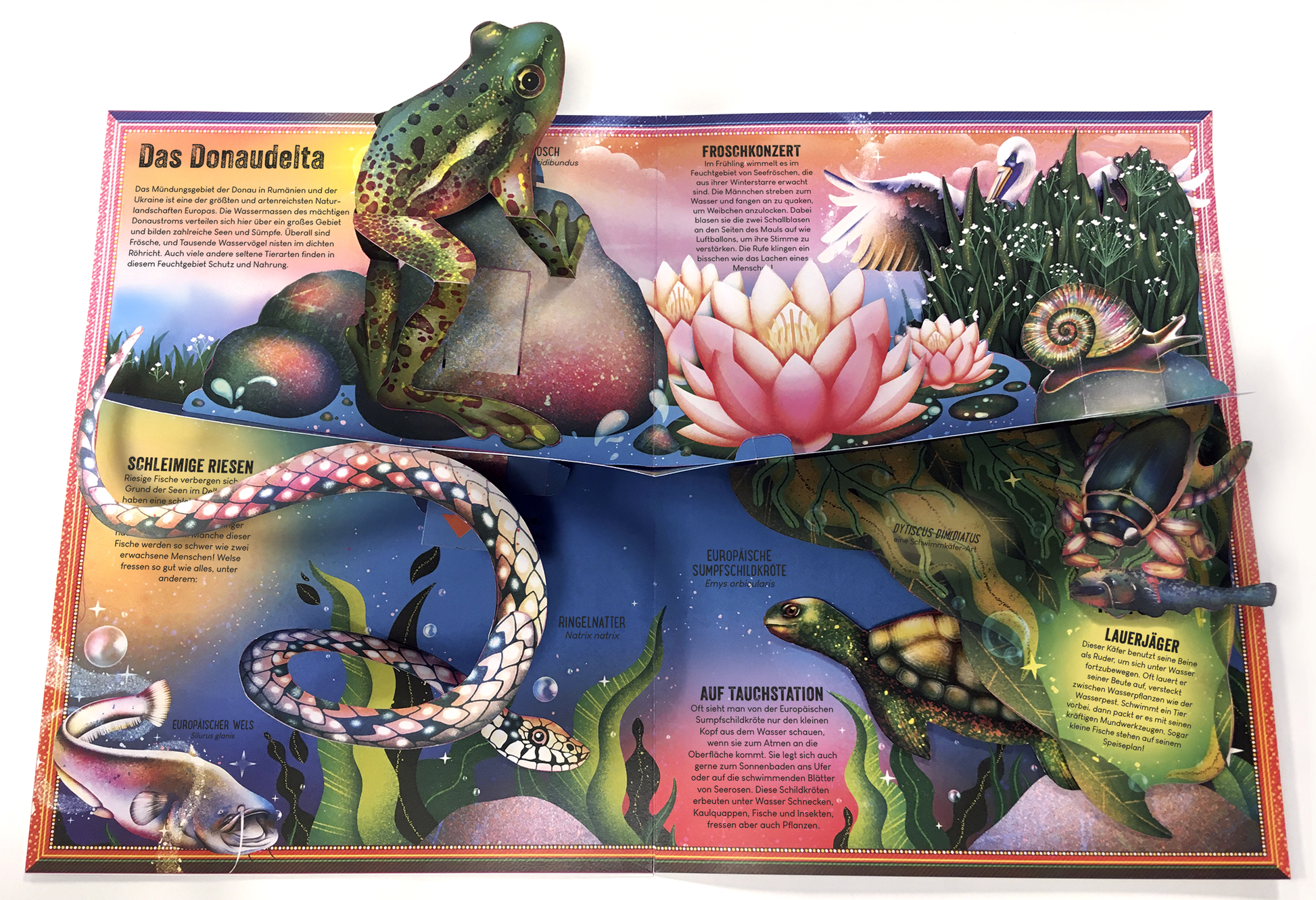 Gezeigt wird eine Innen- oder Zusatzansicht von „Das unglaubliche Pop-up-Buch – Am Wasser“. Die Darstellung zeigt lebendige Farben mit einem Fokus auf Grüntönen und verschiedenen Blauschattierungen, die die Wasseroberfläche andeuten. Pop-up-Elemente wie ein großer, gefärbter Frosch, eine Lotusblüte und Tierzeichnungen sind hervorstechend. Die Typografie ist klar und gut lesbar, mit informativen Textbereichen in gelb-orangefarbener Schrift, die die Illustrationen ergänzen.