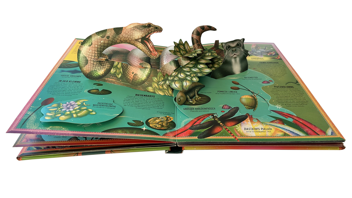 Gezeigt wird eine Innen- oder Zusatzansicht von „Das unglaubliche Pop-up-Buch – Am Wasser“.