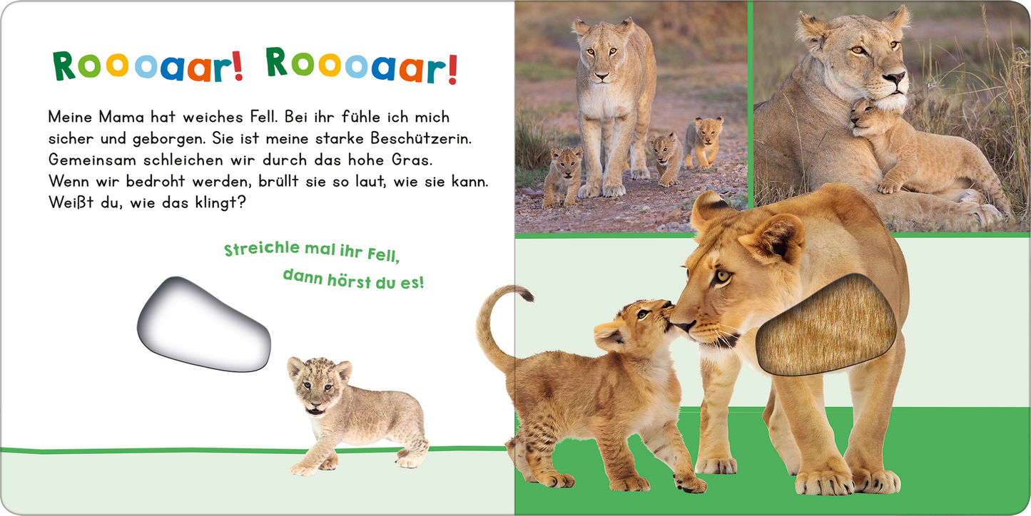 Gezeigt wird eine Innen- oder Zusatzansicht von „Hör mal rein, wer kann das sein? – Meine Mama“. Die Seite zeigt eine farbenfrohe Illustration von Löwen in einer natürlichen Umgebung. In der linken oberen Ecke steht „Rooaaar! Roooaaar!“ in großer, fernsehtauglicher Schrift. Auf der rechten Seite sind eine Löwin und ihr Löwenkind abgebildet, die in sanften Erdtönen gehalten sind. Ein interaktives Element in Form einer grauen Fläche lädt zum Streicheln ein, während...