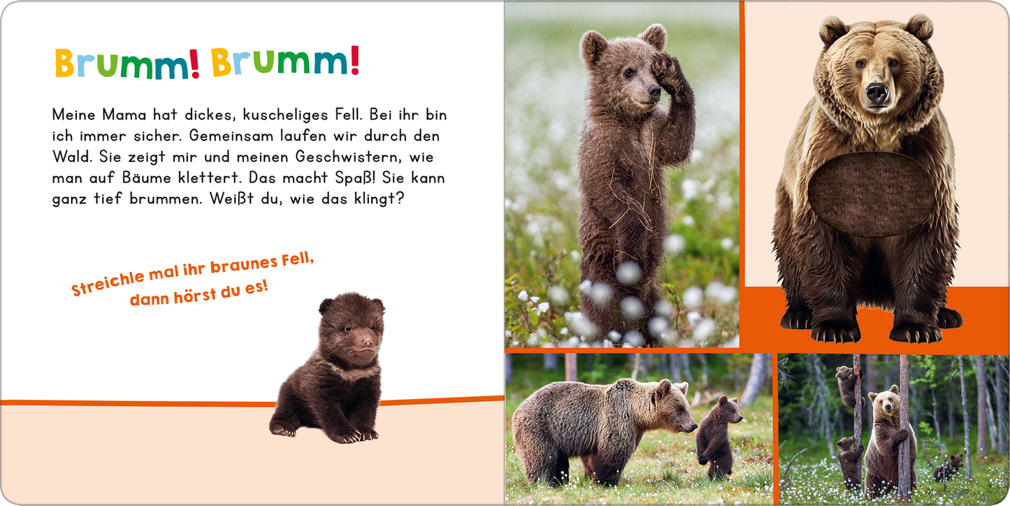 Gezeigt wird eine Innen- oder Zusatzansicht von „Hör mal rein, wer kann das sein? – Meine Mama“. Die Seite enthält bunte Illustrationen von Bären in verschiedenen Posen, die auf einer Wiese und im Wald dargestellt sind. Die Überschrift „Brumm! Brumm!“ ist in kräftigen, kindgerechten Farben gestaltet. Neben den Bildern steht ein kurzer, einladender Text, der die Eigenschaften der Mama-Bärin beschreibt. Die Schriftart ist klar und gut lesbar, die Gestaltung ist ansprechend und...