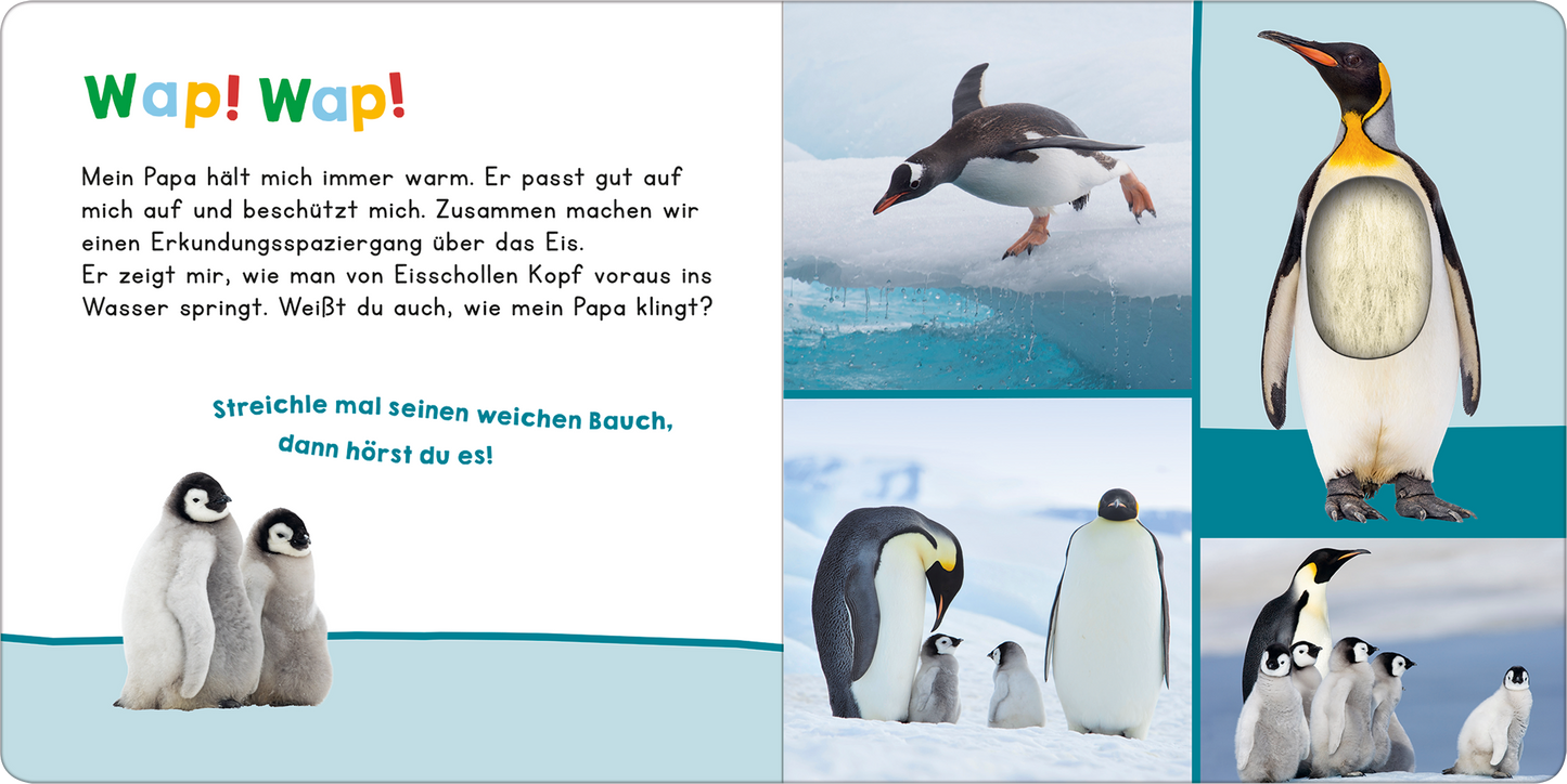 Gezeigt wird eine Innen- oder Zusatzansicht von „Hör mal rein, wer kann das sein? – Mein Papa“. Die Illustrationen zeigen niedliche Pinguine in unterschiedlichen Positionen, umgeben von einer eisigen Landschaft. Die Farben sind sanft, mit viel Blau und Weiß, die eine kalte Umgebung darstellen. Die große, verspielte Schriftart „Wap! Wap!“ zieht die Aufmerksamkeit auf sich, während der Text unterhalb in klarer, gut lesbarer Typografie gehalten ist. Visualisierungen der Pinguine...