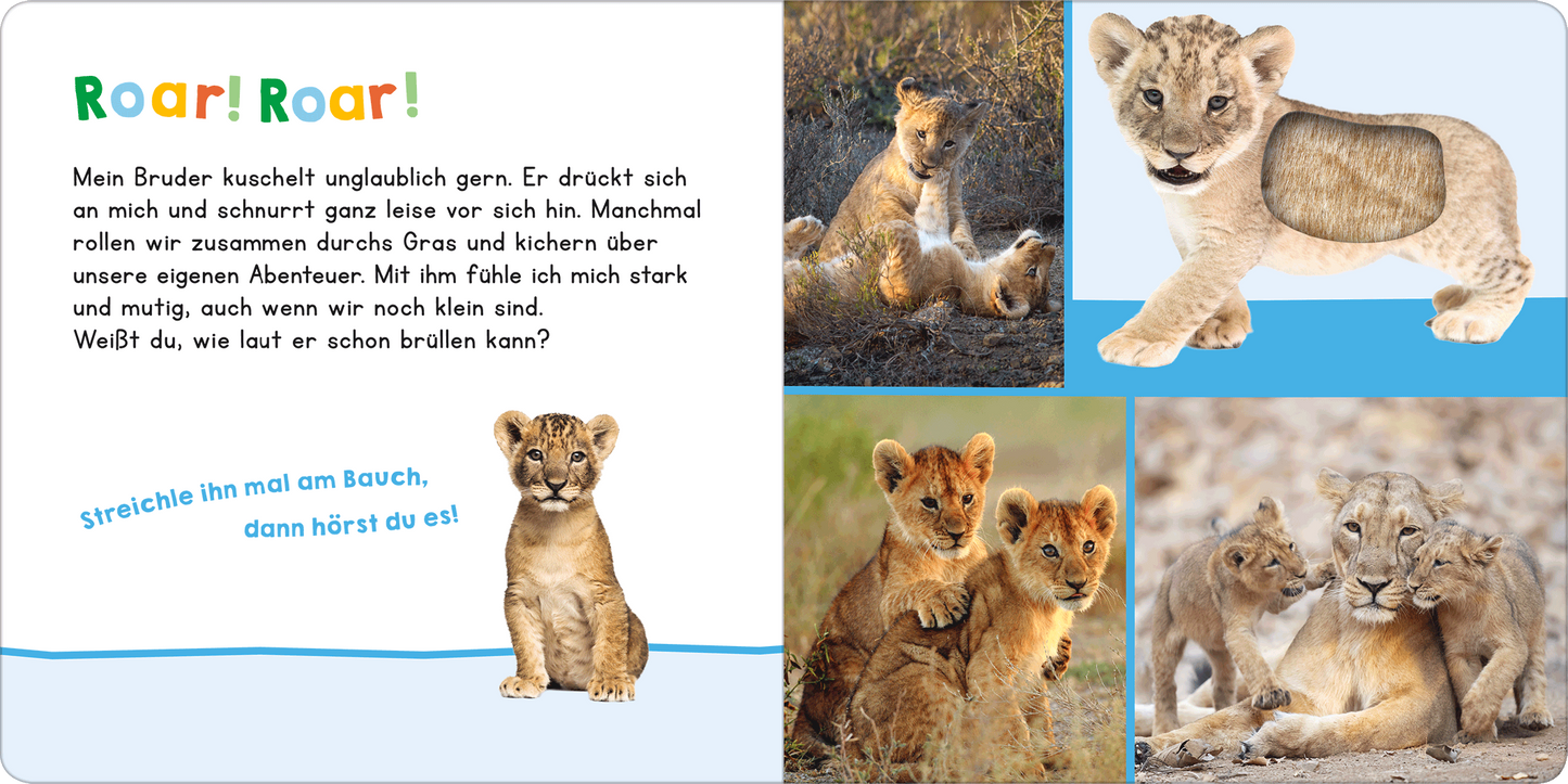 Gezeigt wird eine Innen- oder Zusatzansicht von „Hör mal rein, wer kann das sein? Mein Bruder“.