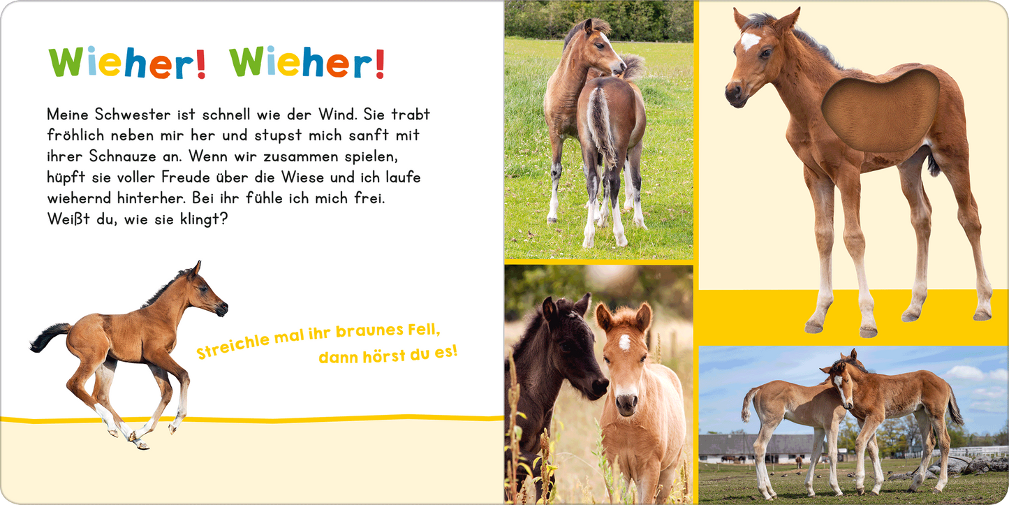 Gezeigt wird eine Innen- oder Zusatzansicht von „Hör mal rein, wer kann das sein? Meine Schwester“.